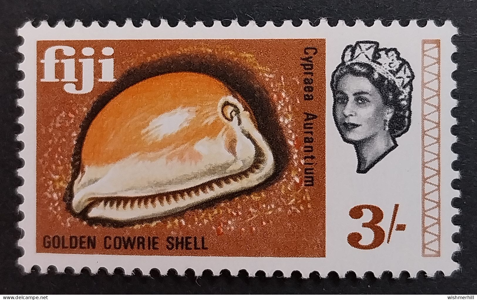 Coquillages Shells // Neuve ** MNH ; Fidji YT 231 (1968) Cote 7 € - Fidji (...-1970)