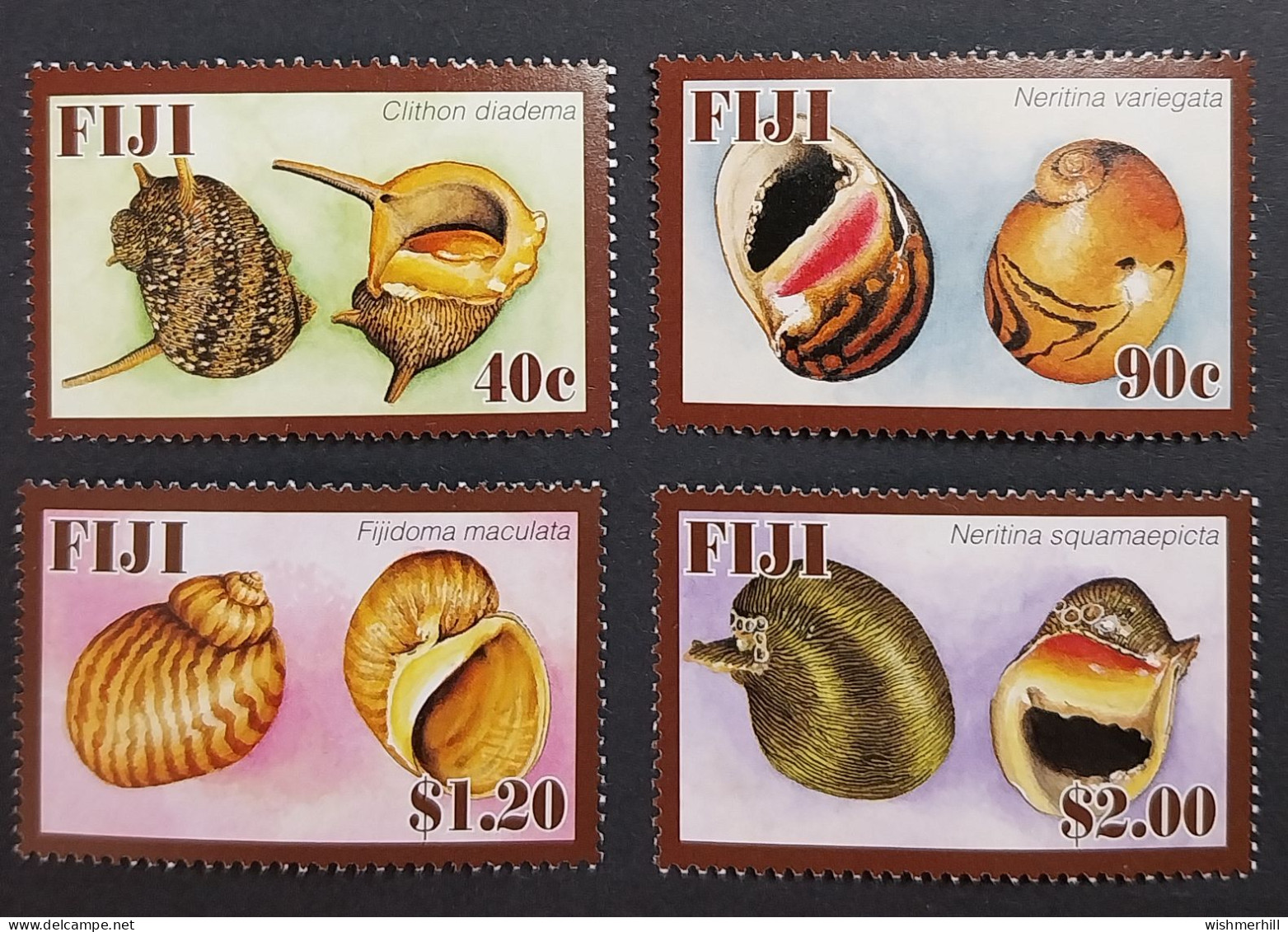 Coquillages Shells // Série Complète Neuve ** MNH ; Fidji YT 1148/1151 (2007) Cote 9 € - Fidji (1970-...)