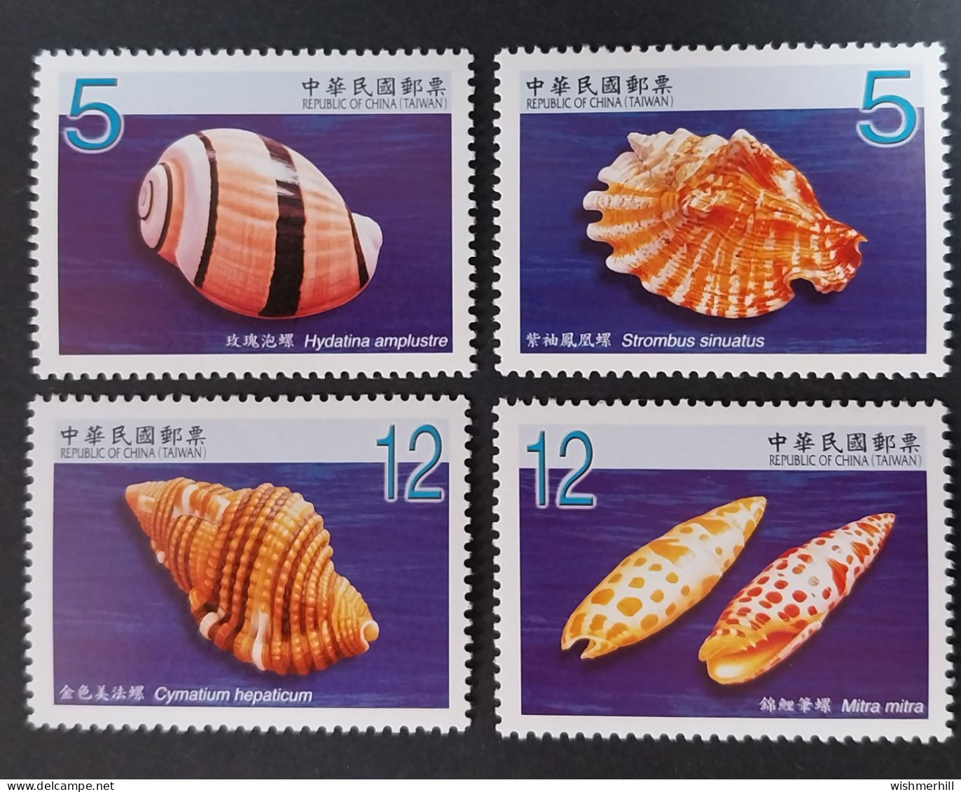 Coquillages Shells // Série Complète Neuve ** MNH ; Formose Taiwan 3195/3198 (2009) Cote 3.50 € - Neufs