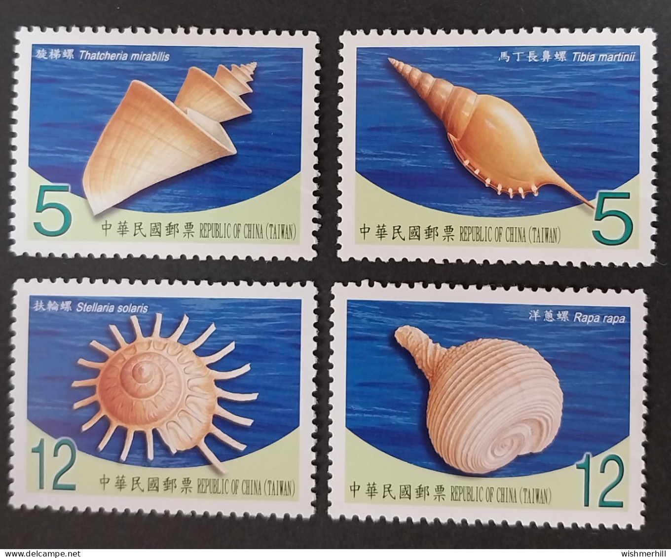 Coquillages Shells // Série Complète Neuve ** MNH ; Formose Taiwan 3310/3313 (2010) Cote 3.50 € - Neufs