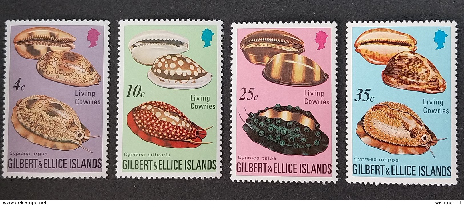 Coquillages Shells // Série Complète Neuve ** MNH ; Gilbert & Ellice YT 236/239 (1975) Cote 8.50 € - Îles Gilbert Et Ellice (...-1979)