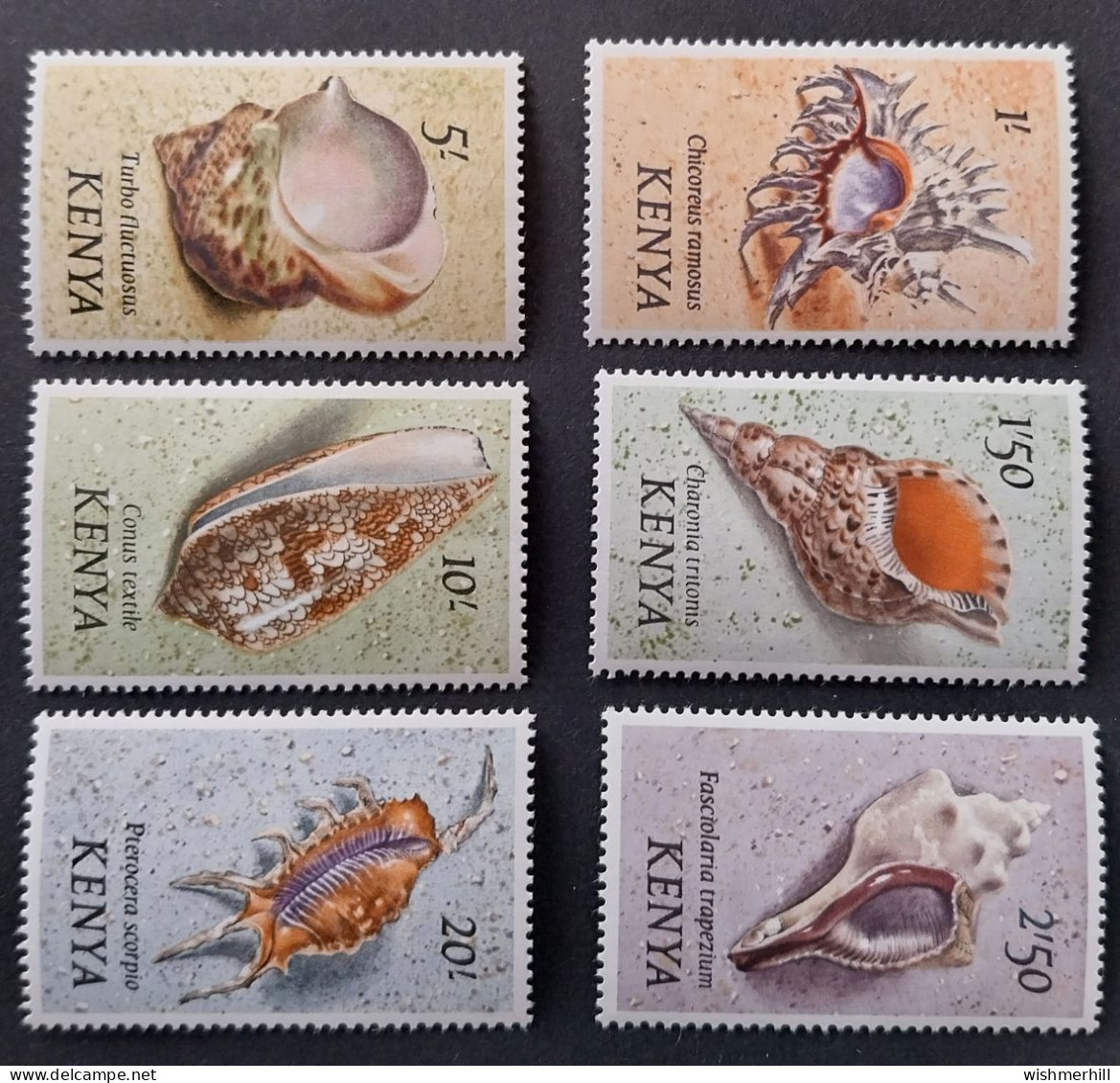 Coquillages Shells // Série Complète Neuve ** MNH ; Kenya YT 34/48 (1973) Cote 35 € - Kenya (1963-...)