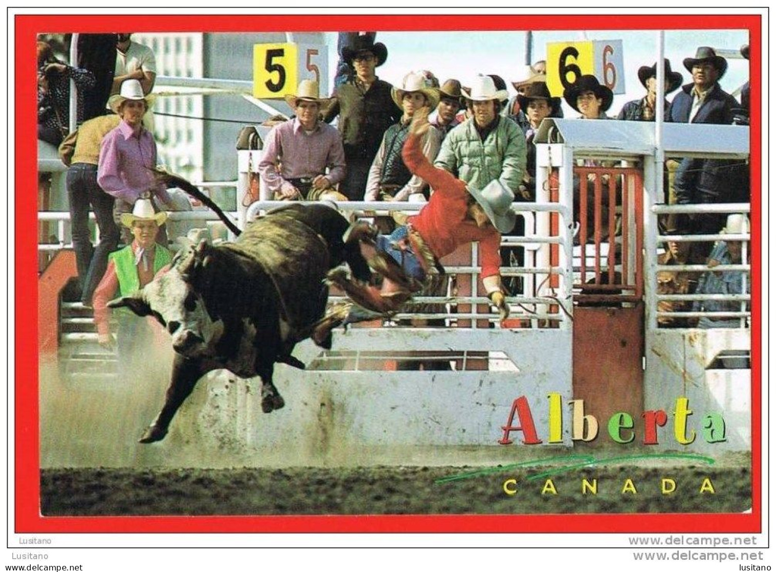 Alberta Calgary Stampede Billed Bull Corrida Rodeo Stamp Timbre Canada - Calgary
