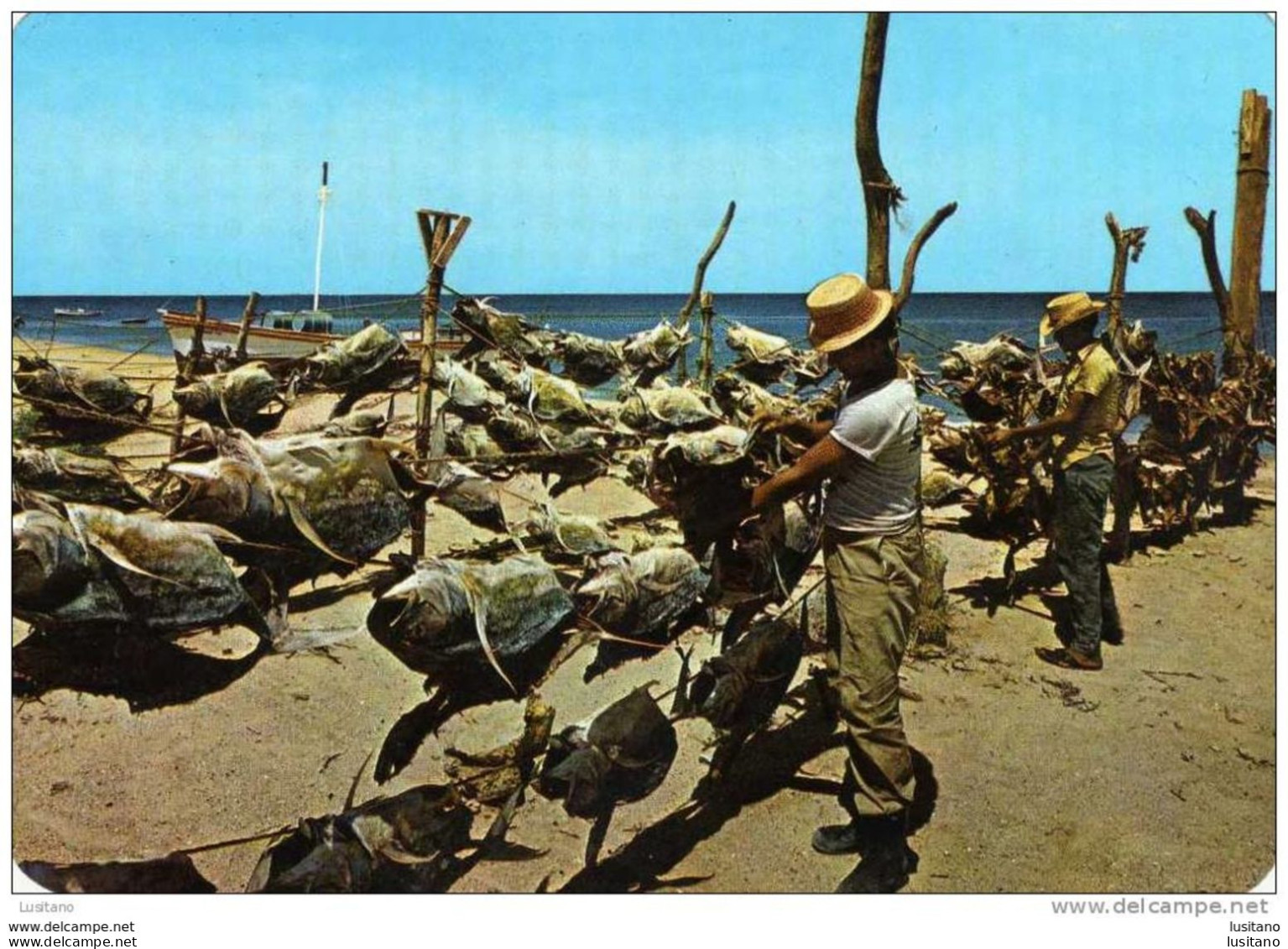 Margarita Island - Pescadores Fishermen Pecheurs - Venezuela - Venezuela