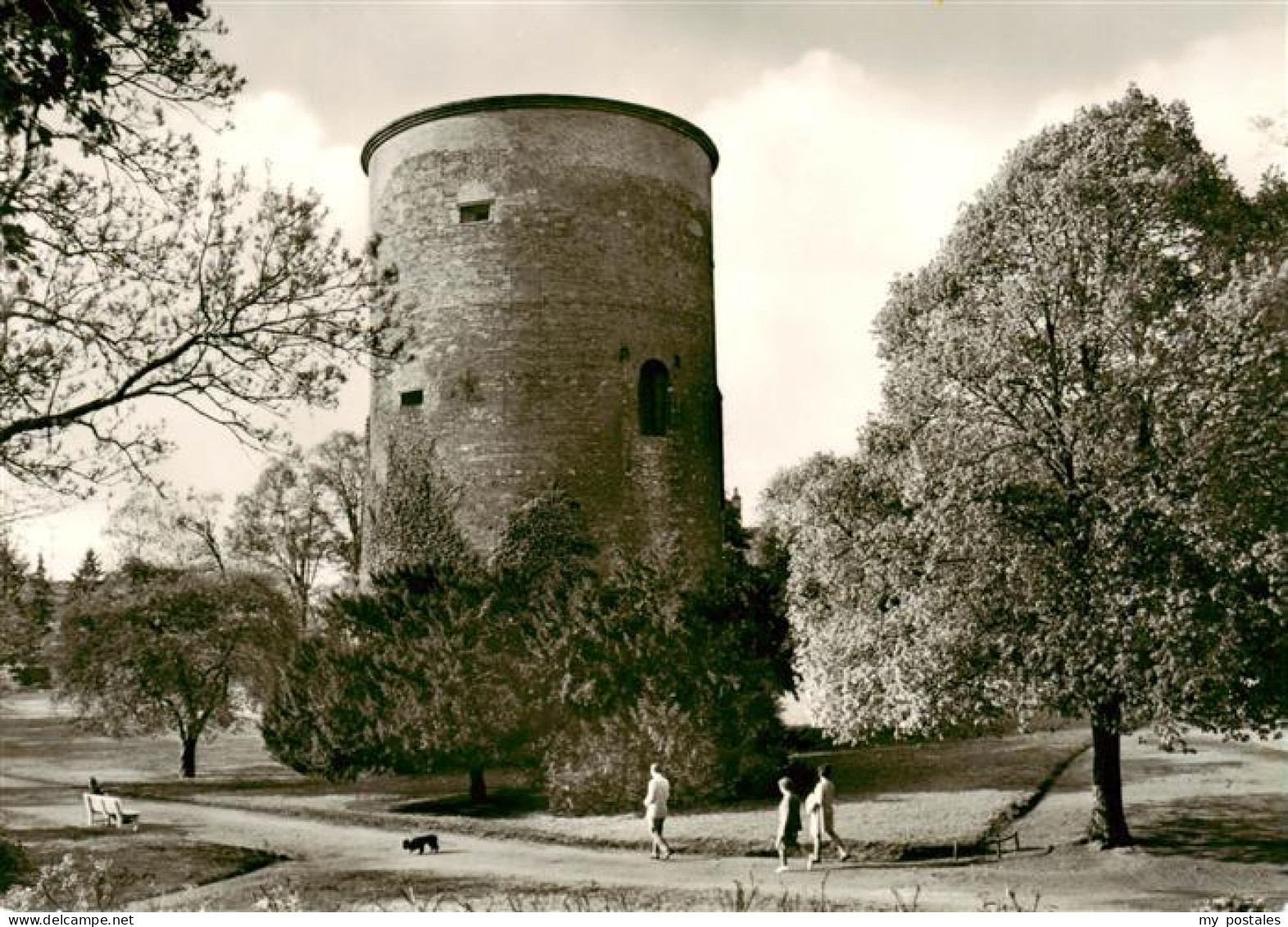 73921379 Salzwedel Burggarten - Salzwedel