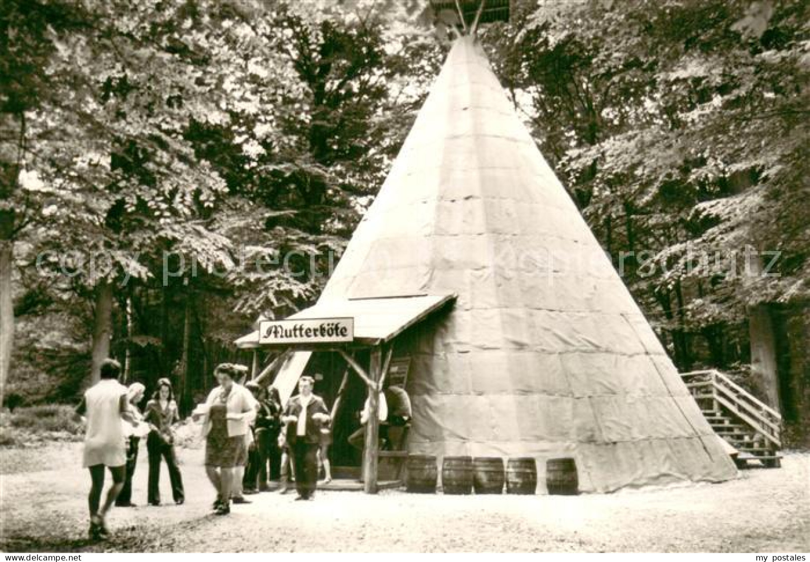 73741081 Almsfeld Altenbrak Harz Mutterkoete In Todtenrode Tipi  - Altenbrak