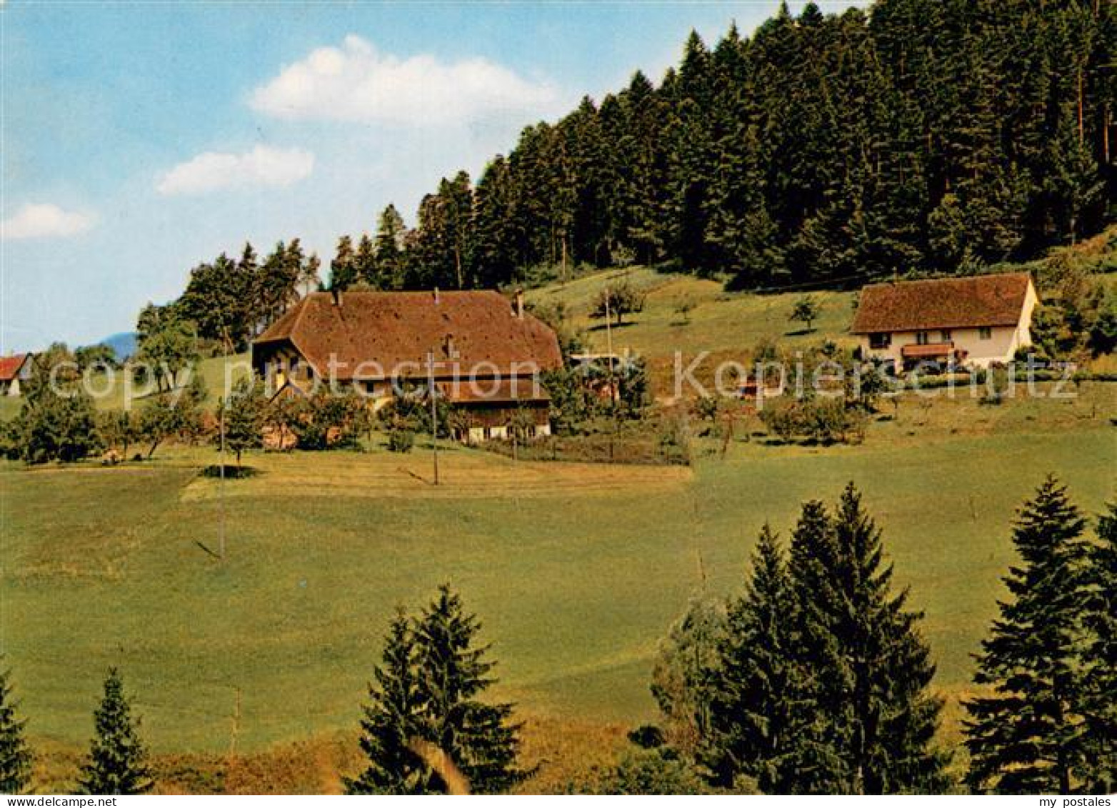 73719478 Lehengericht Privatpension Schwenkenhof Lehengericht - Schiltach