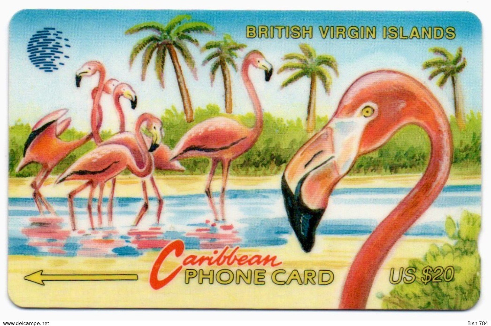 British Virgin Islands - Flamingoes - 20CBVC - Isole Vergini