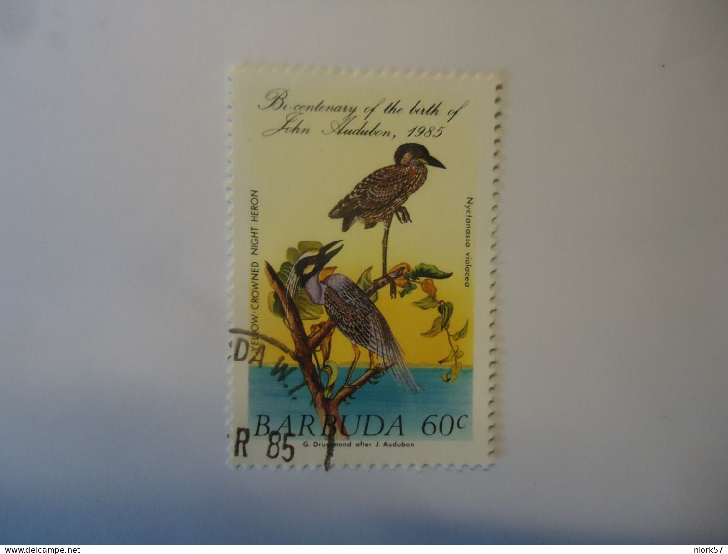 BARBUDA     USED   STAMPS  BIRD BIRDS  1985 AUDUBON - Entenvögel