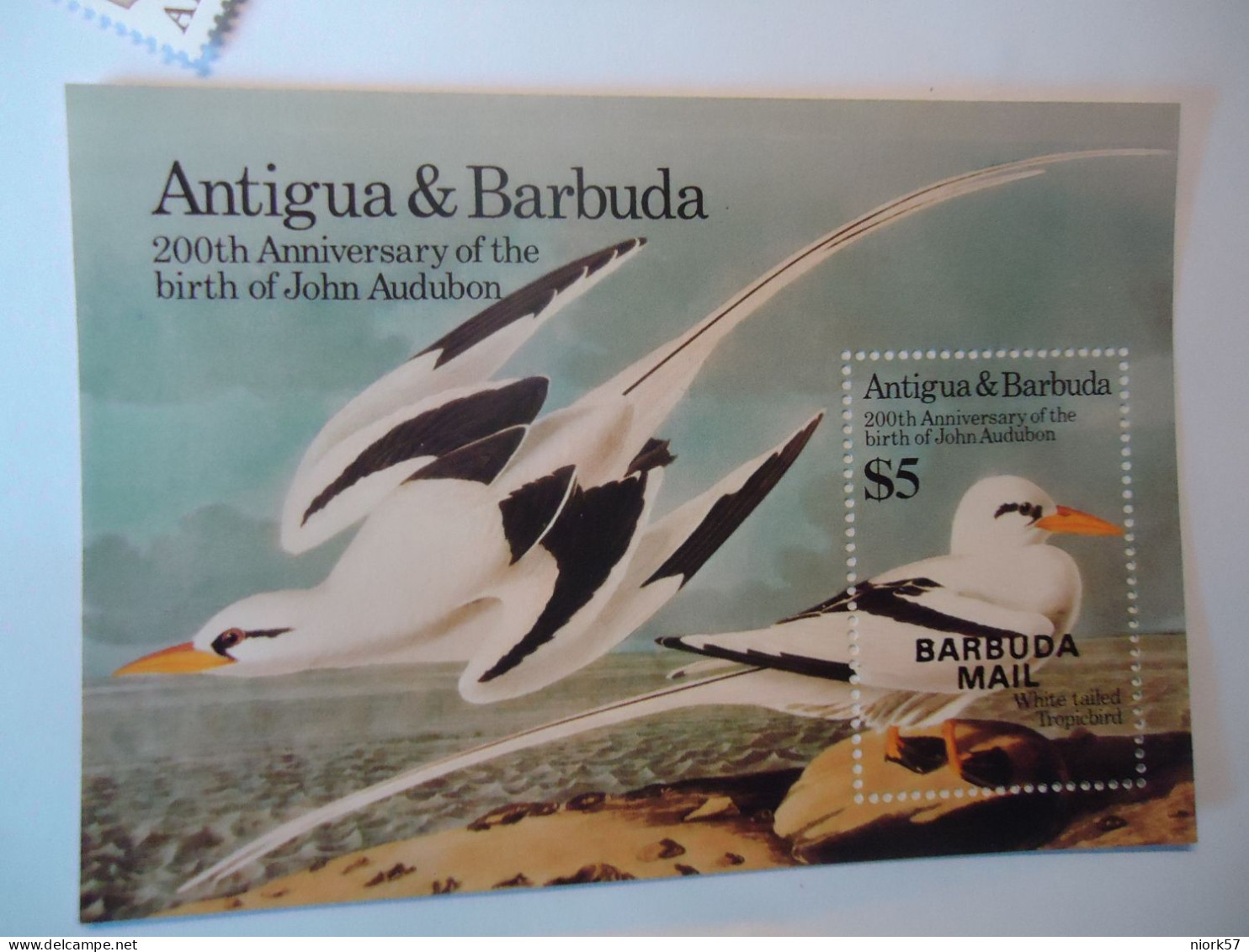 BARBUDA    MNH   STAMPS  BIRD BIRDS SHEET 1985 AUDUBON - Entenvögel