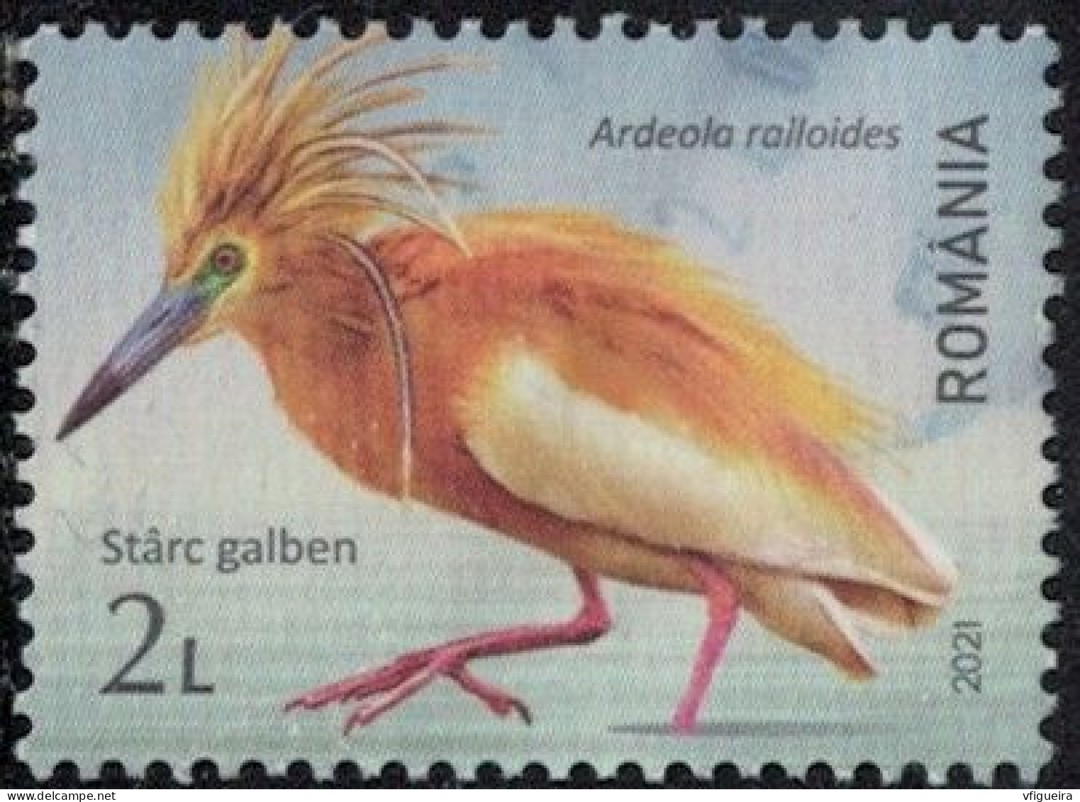 Roumanie 2021 Oblitéré Used Oiseau Ardeola Ralloides Crabier Chevelu Y&T RO 6674 SU - Used Stamps