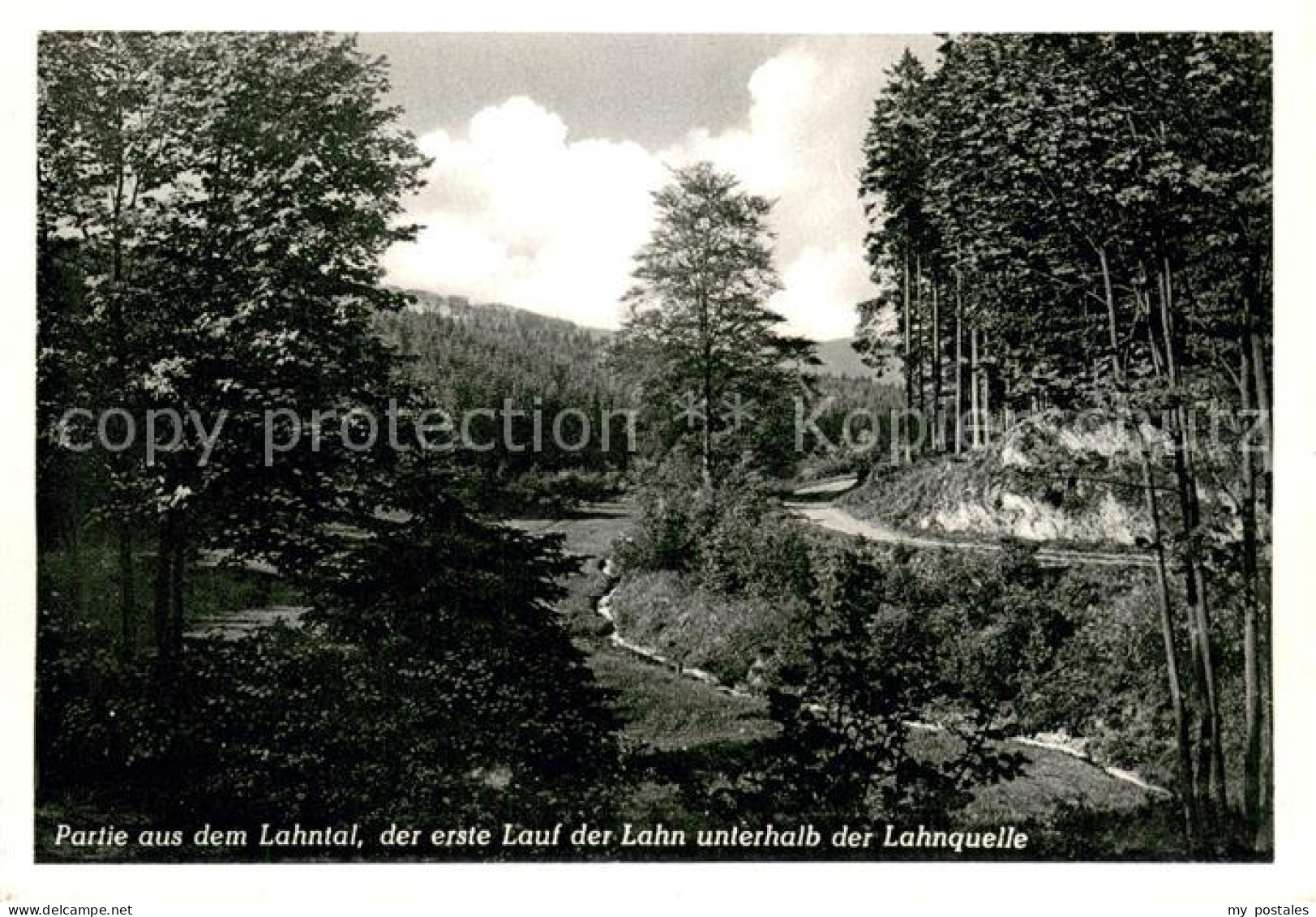73700939 Laasphe Lahntal Erste Lauf Der Lahn Unterhalb Der Lahnquelle Laasphe - Bad Laasphe