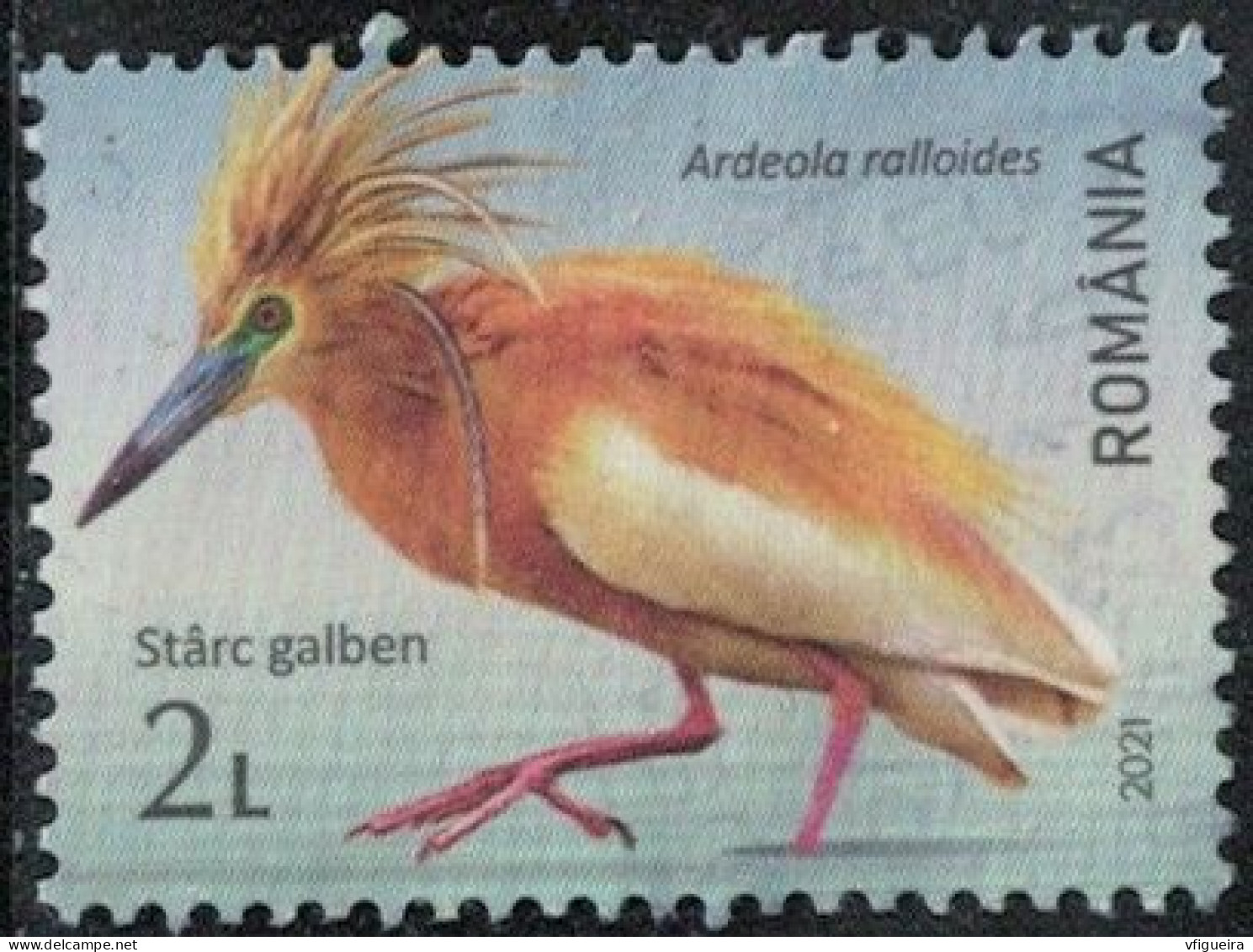 Roumanie 2021 Oblitéré Used Oiseau Ardeola Ralloides Crabier Chevelu Y&T RO 6674 SU - Used Stamps