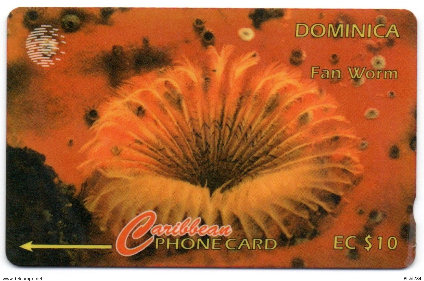 Dominica - Fan Worm - 9CDMB (with Ø) - Dominique