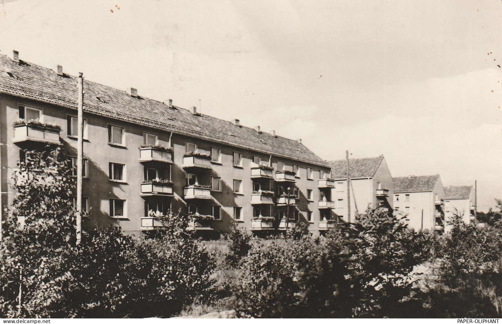 0-1602 BESTENSEE, Rudi-Arnstadt-Strasse, 1965, Rotophot - Bestensee