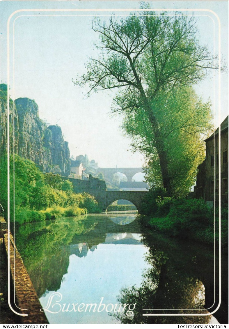 LUXEMBOURG - Les Roches Du Bock - Le Pont Du Stierchen Et Le Viaduc De Clausen - Carte Postale - Luxemburg - Town