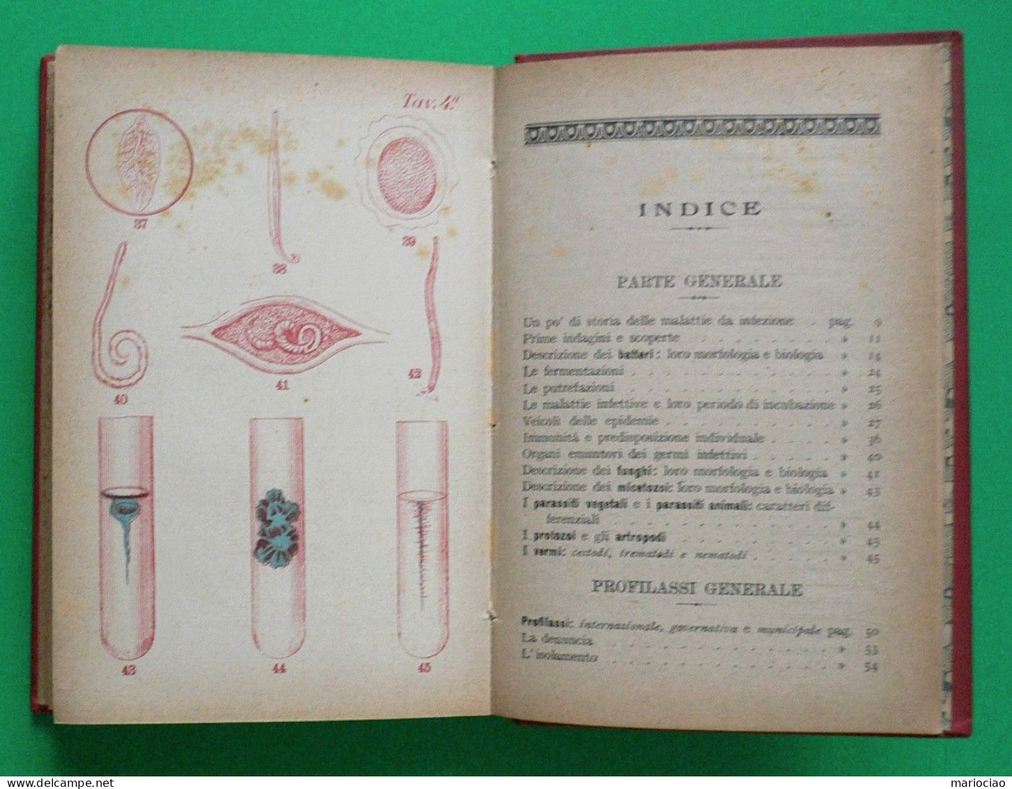 L-IT MEDICINA La Difesa Personale Dalle Malattie Infettivo - Parassitarie 1906 - Livres Anciens