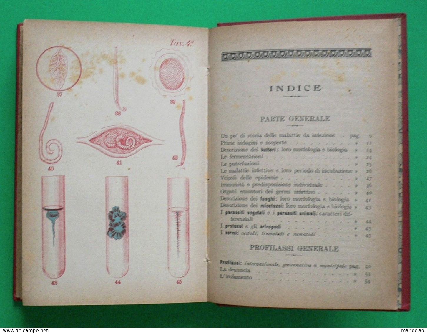 L-IT MEDICINA La Difesa Personale Dalle Malattie Infettivo - Parassitarie 1906 - Libri Antichi