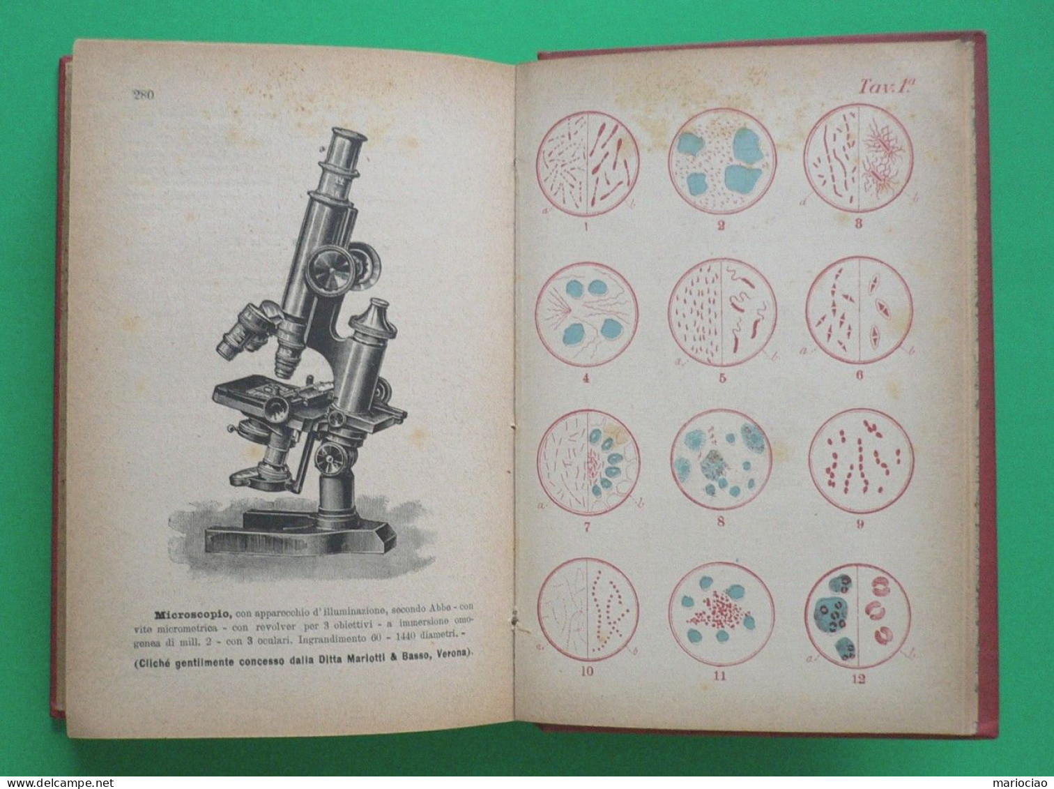 L-IT MEDICINA La Difesa Personale Dalle Malattie Infettivo - Parassitarie 1906 - Alte Bücher