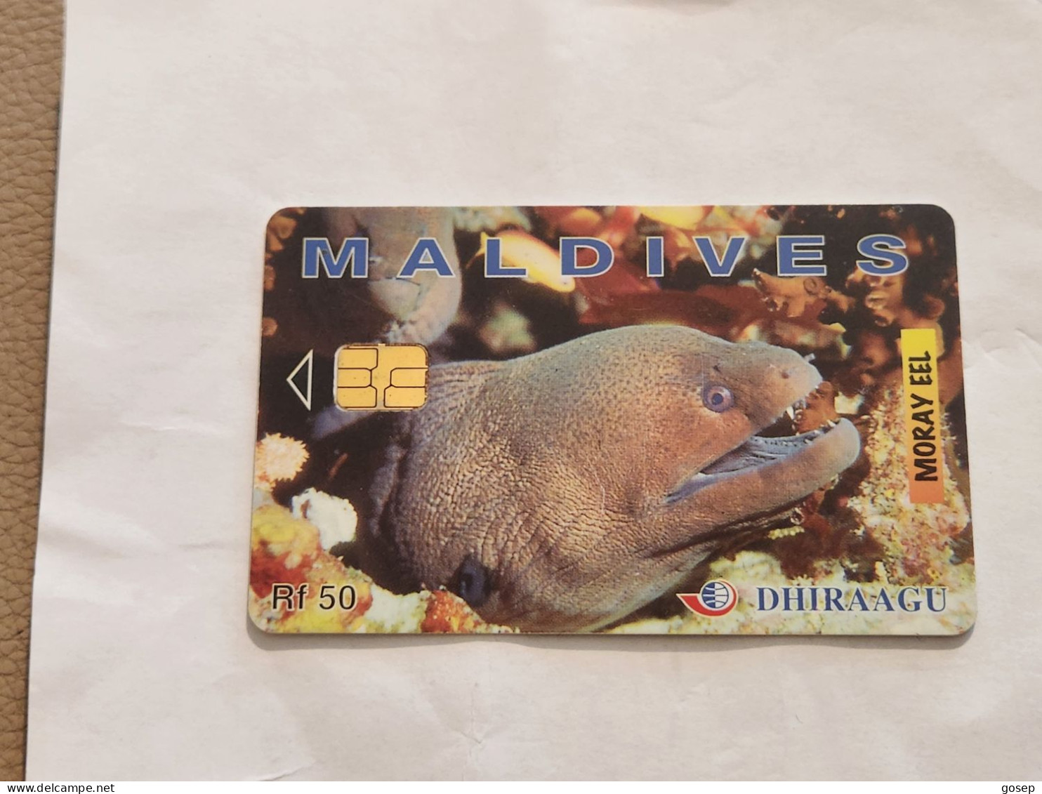 Maldives-(227MLDGIB-MAL-C-02)-Moray Eel-(45)-(RF50)-(227MLDGIB00724467)-used Card+1card Prepiad Free - Maldive