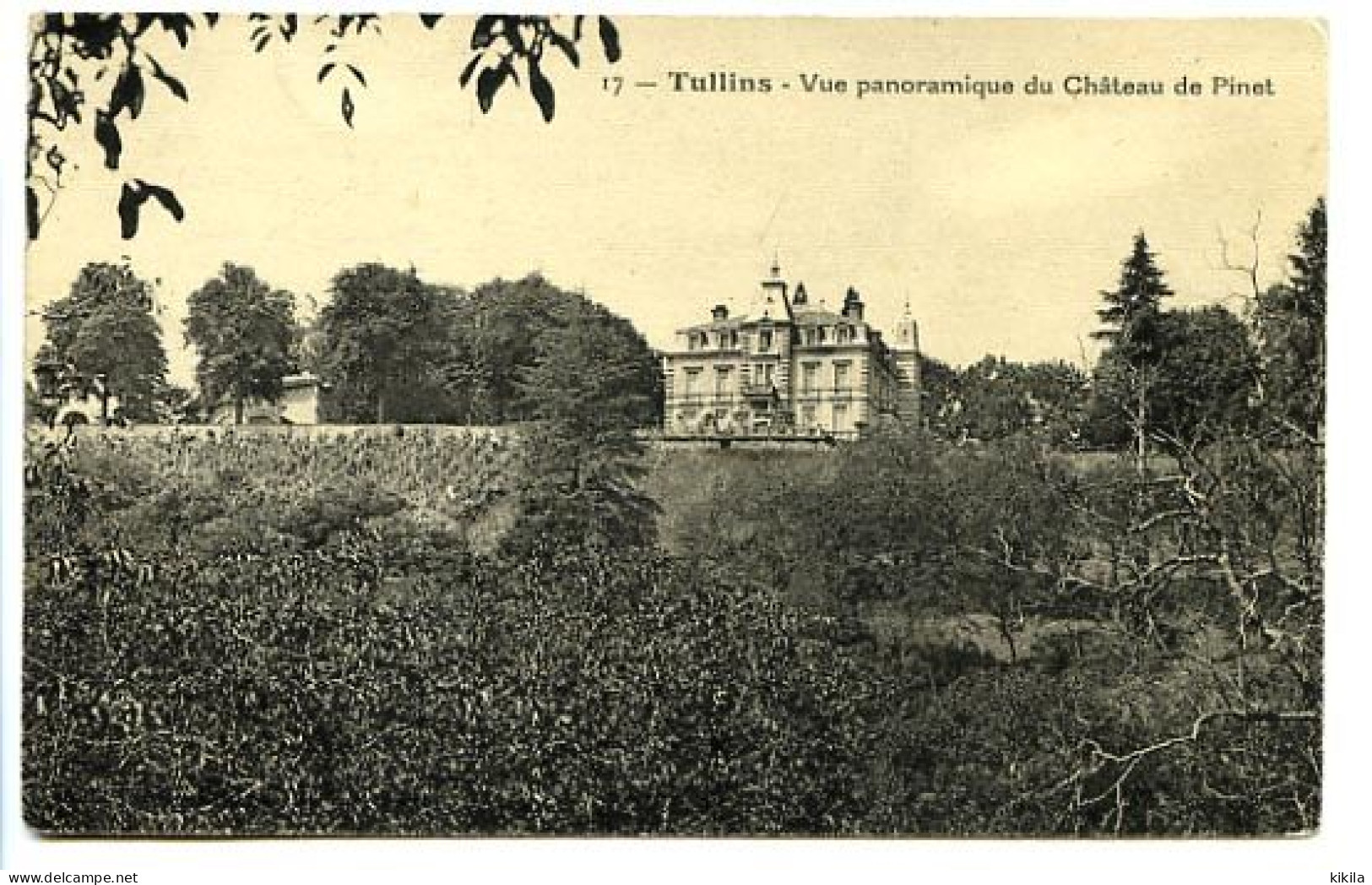 CPA 9 X 14 Isère TULLINS Vue Panoramique Du Château De Pinet     Champ De Vignes - Tullins