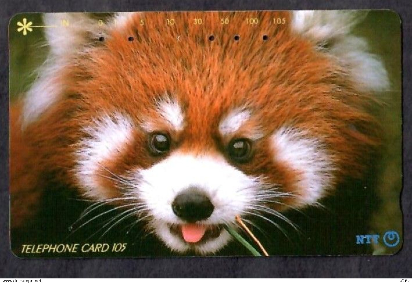 Japan 1V Red Panda NTT Used Card - Jungle