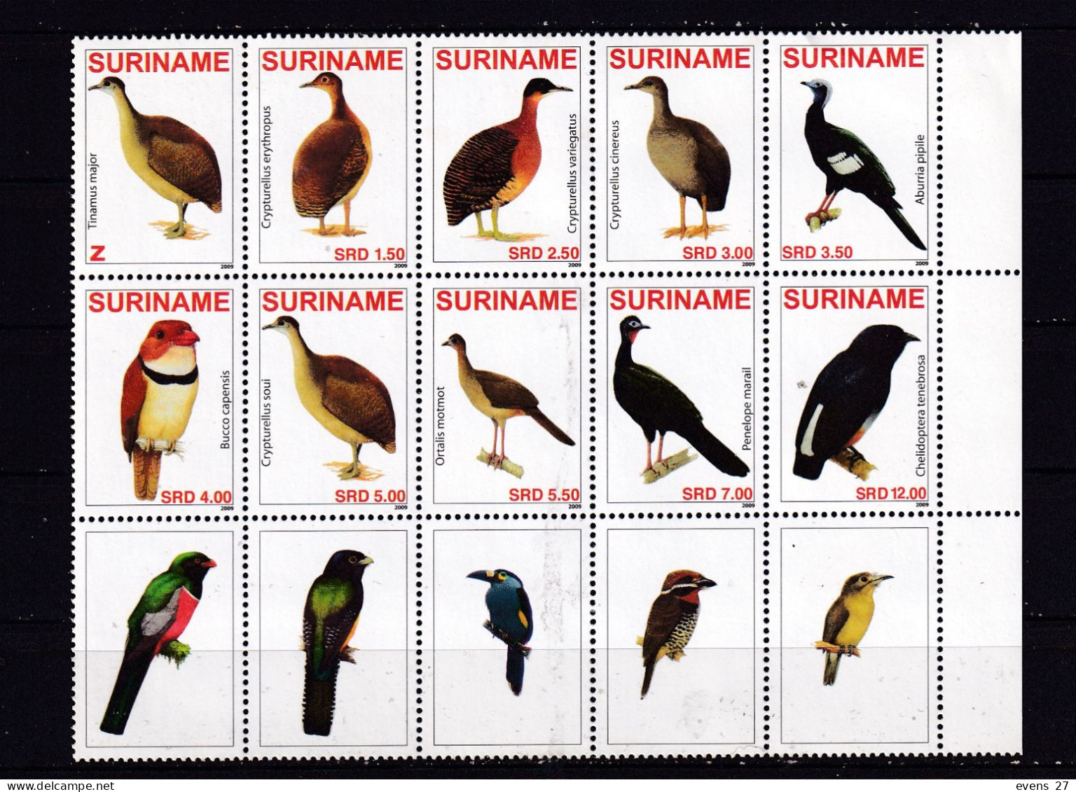 SURINAM-2009-BIRDS-BLOCK-MNH. - Spechten En Klimvogels
