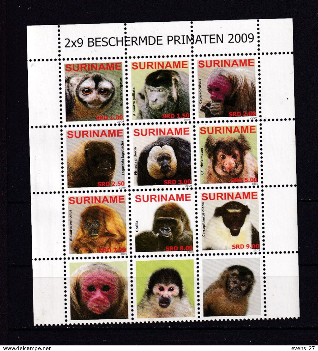 SURINAM-2009-MONKEYS-BLOCK-MNH. - Singes