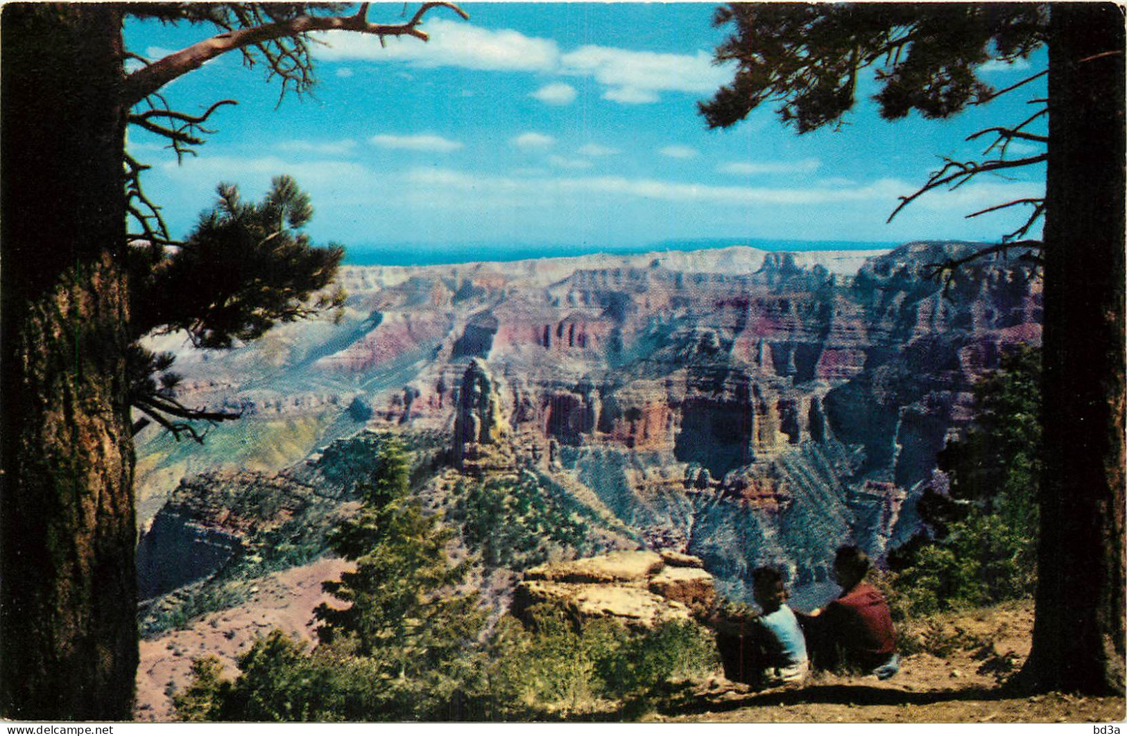 ETATS UNIS - GRAND CANYON - Otros & Sin Clasificación