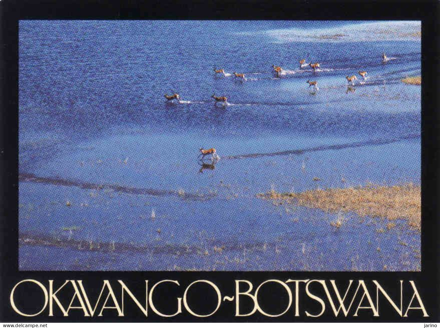 Botswana, OKAVANGO, Antilope, Unused - Botswana