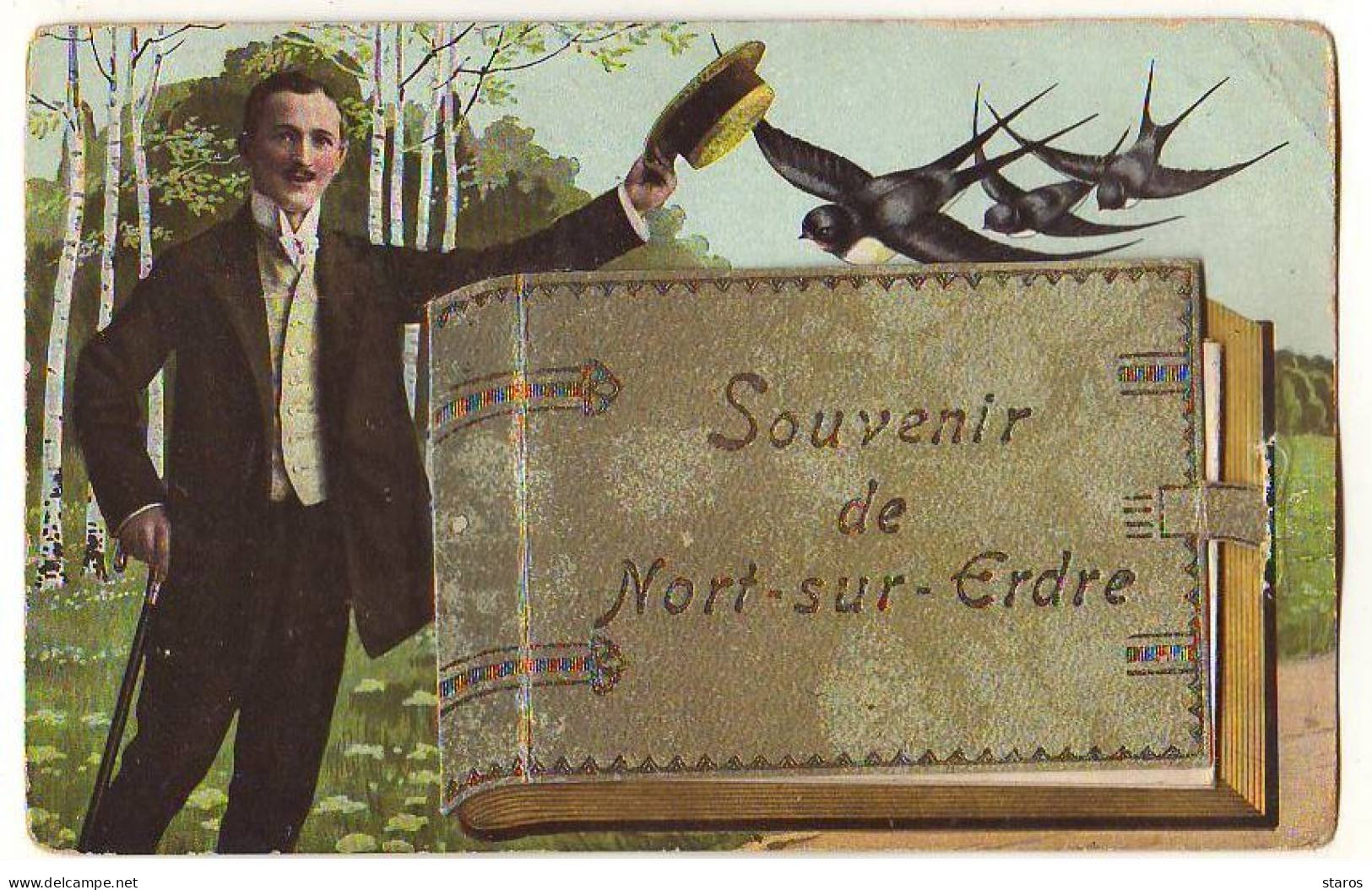 Carte à Système - Souvenir De NORT-SUR-ERDRE - Homme Saluant, Et Des Hirondelles - Nort Sur Erdre