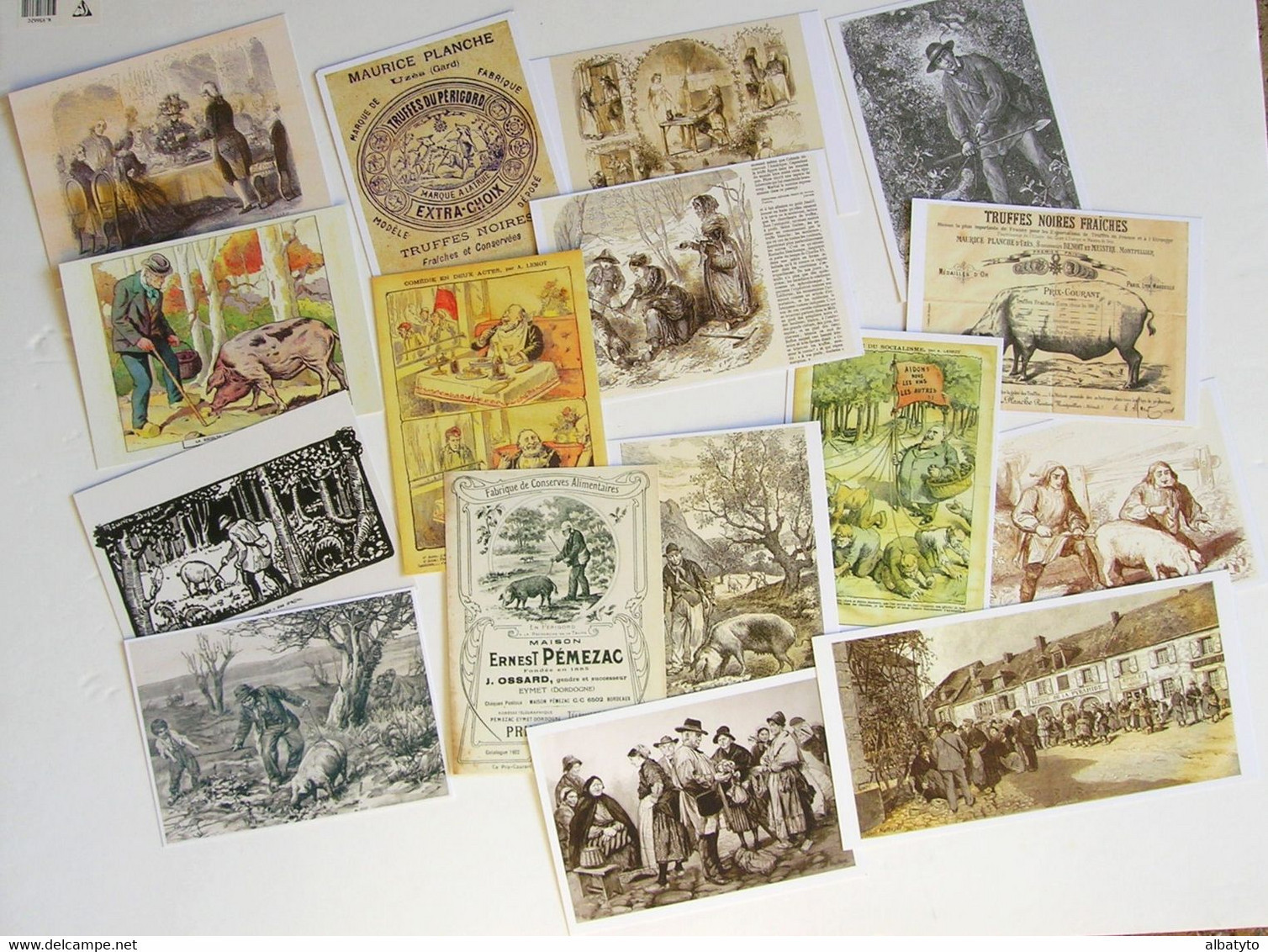 16 Cartes Postales Numérotées Truffe Du Périgord Truffes Cochon Truffier Cochons Pig Tartufo Truffle Champignon Mushroom - Mushrooms