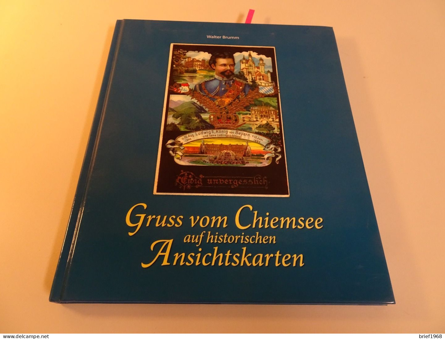 Brumm Gruss Vom Chiemsee Auf Historischen Ansichtskarten (24047) - Handboeken
