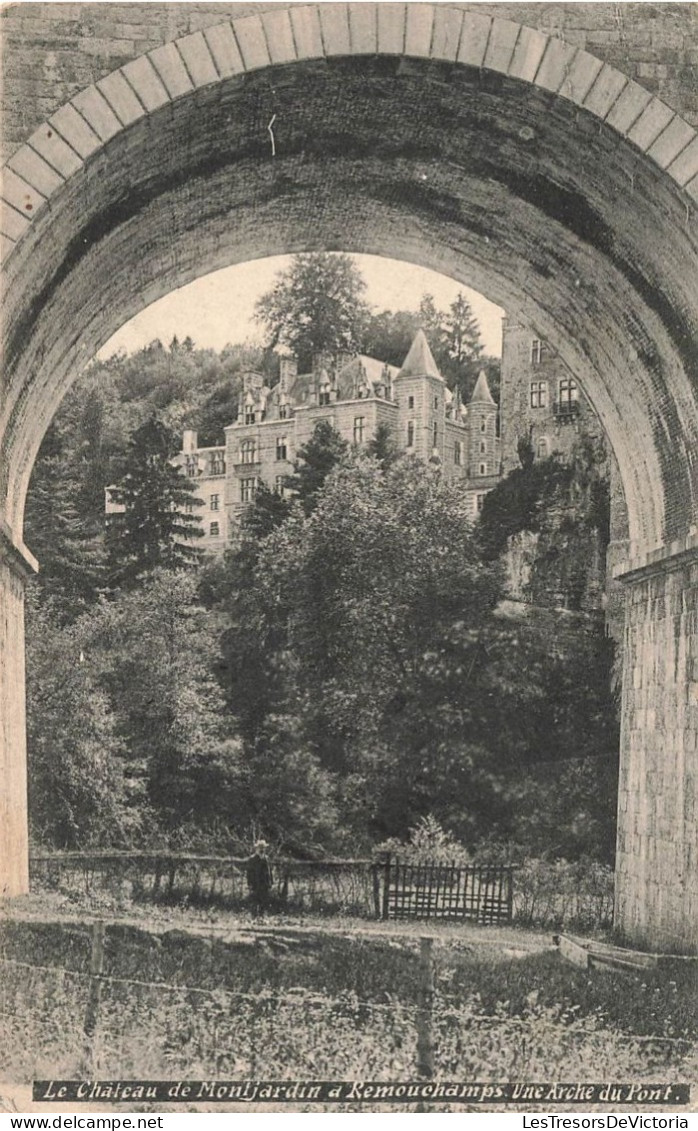 BELGIQUE - Remouchamps - Le Château De Montjardin - Une Arche Du Pont - Carte Postale Ancienne - Liege