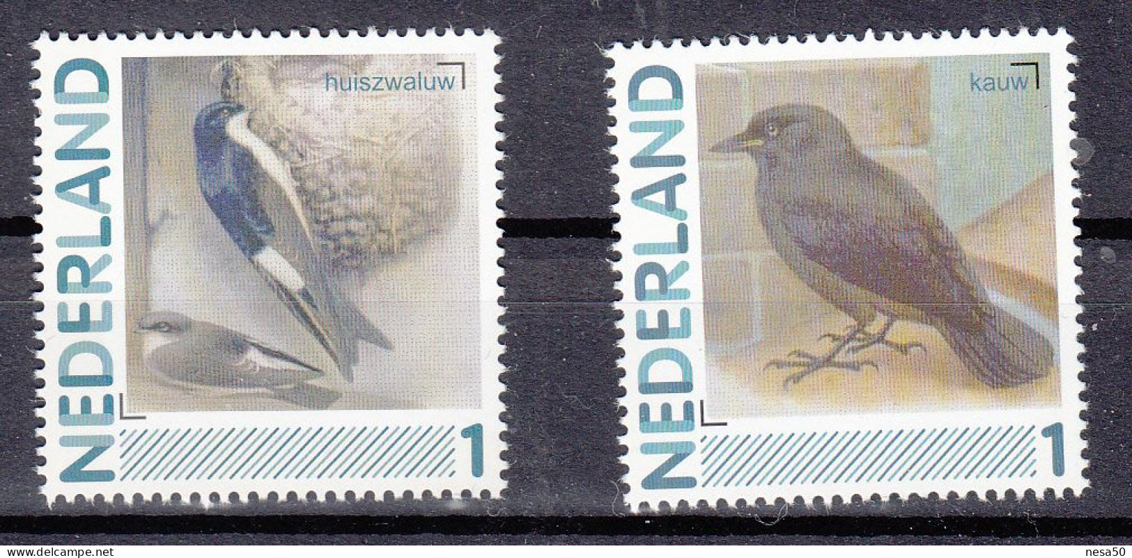 Nederland Persoonlijke Zegels: Vogels, Birds, : Huiszwaluw + Kauw, House Martin + Jackdaw - Ungebraucht