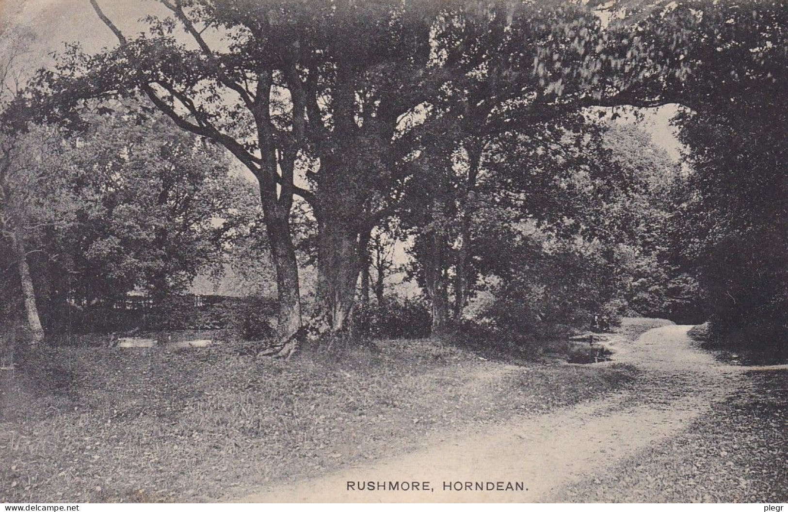 0-GBR01 01 73 - HORNDEAN - RUSHMORE - Portsmouth