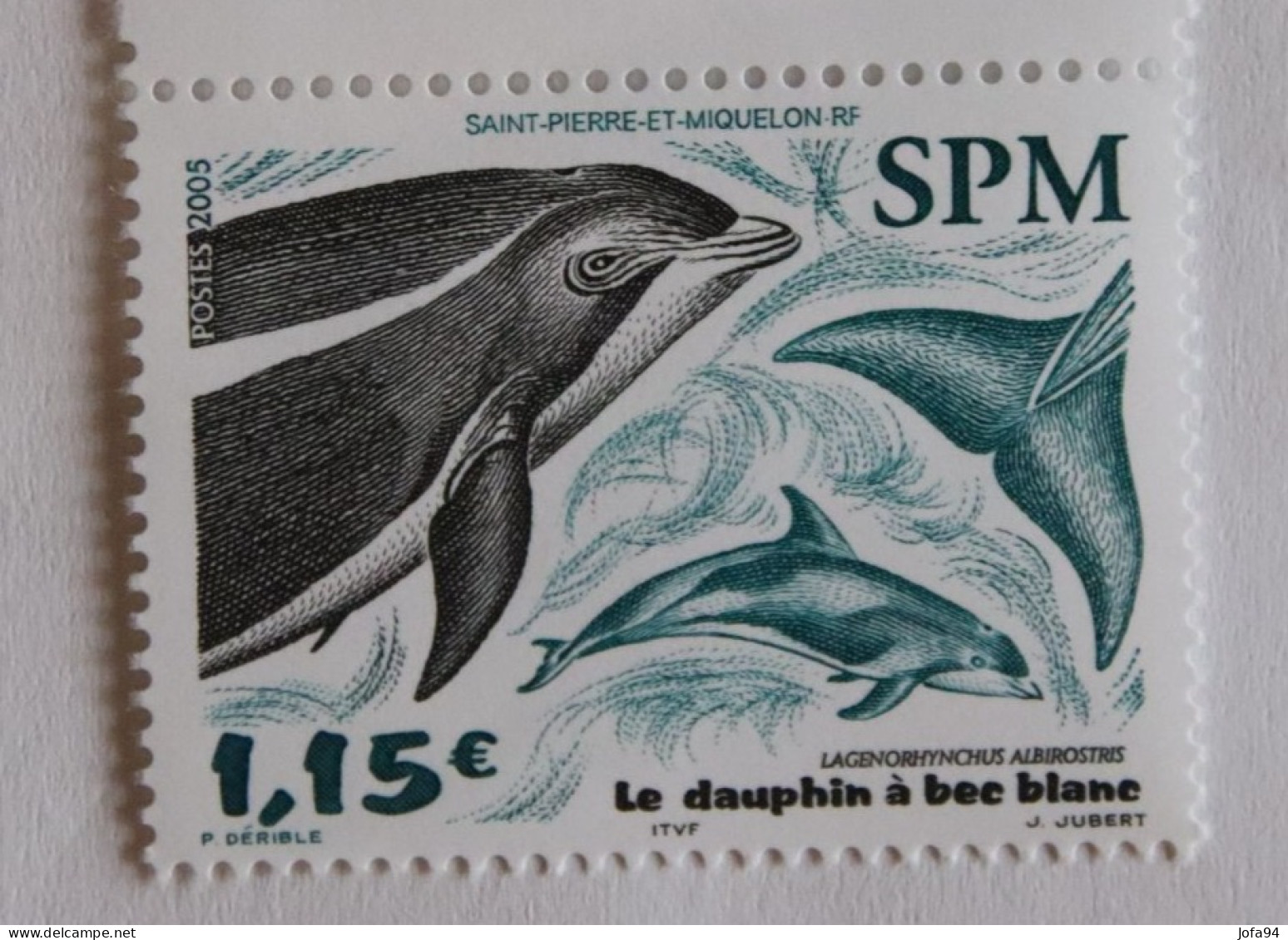 SPM 2005  Faune Marine Dauphin à Bec Blanc (lagenohynchus Albirostris) YT 844  Neuf - Unused Stamps