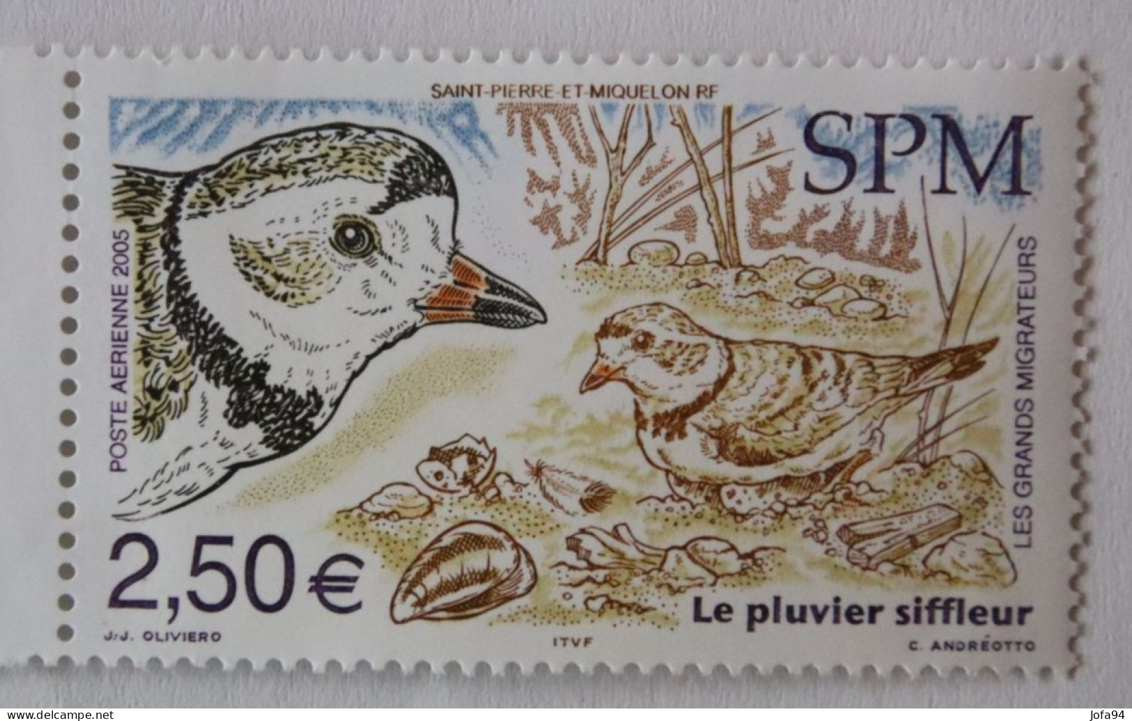 SPM 2005  Faune Oiseaux Le Pluvier Siffleur  PA85    Neuf - Unused Stamps