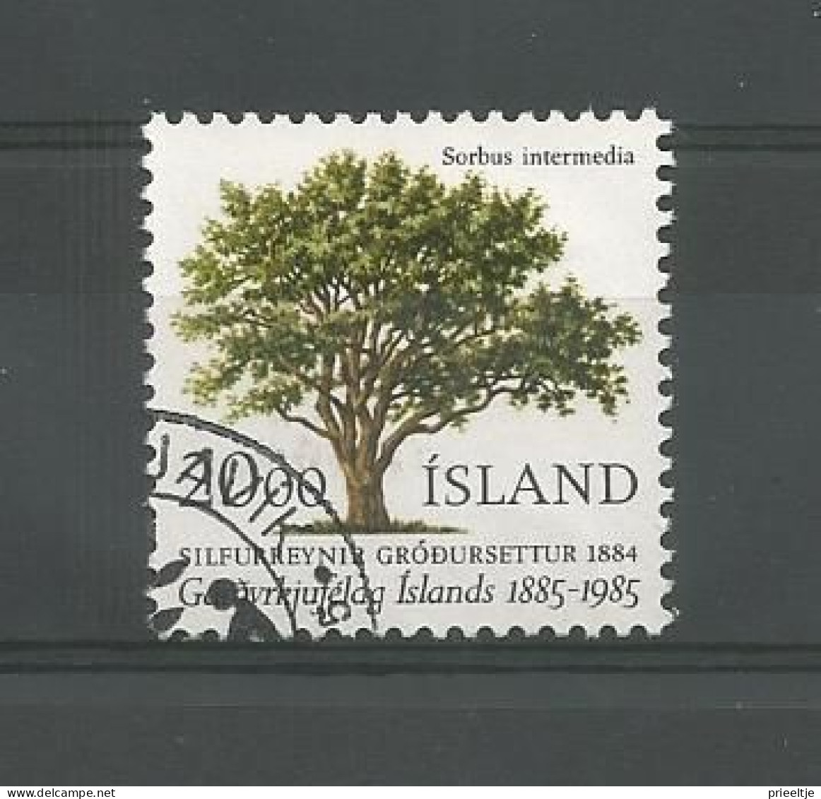 Iceland 1985 Tree Y.T. 588 (0) - Usati