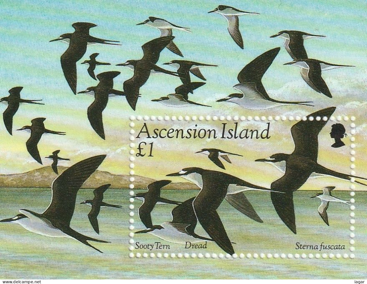 THEMATIC FAUNA:  BIRDS.  SOOTY TERN (RONDINE DI MARE)    4v+MS     -   ASCENSION - Zwaluwen