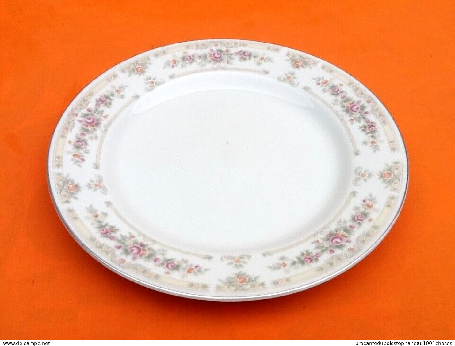 5 Grandes Assiettes   Porcelaine à Décor Floral - Other & Unclassified
