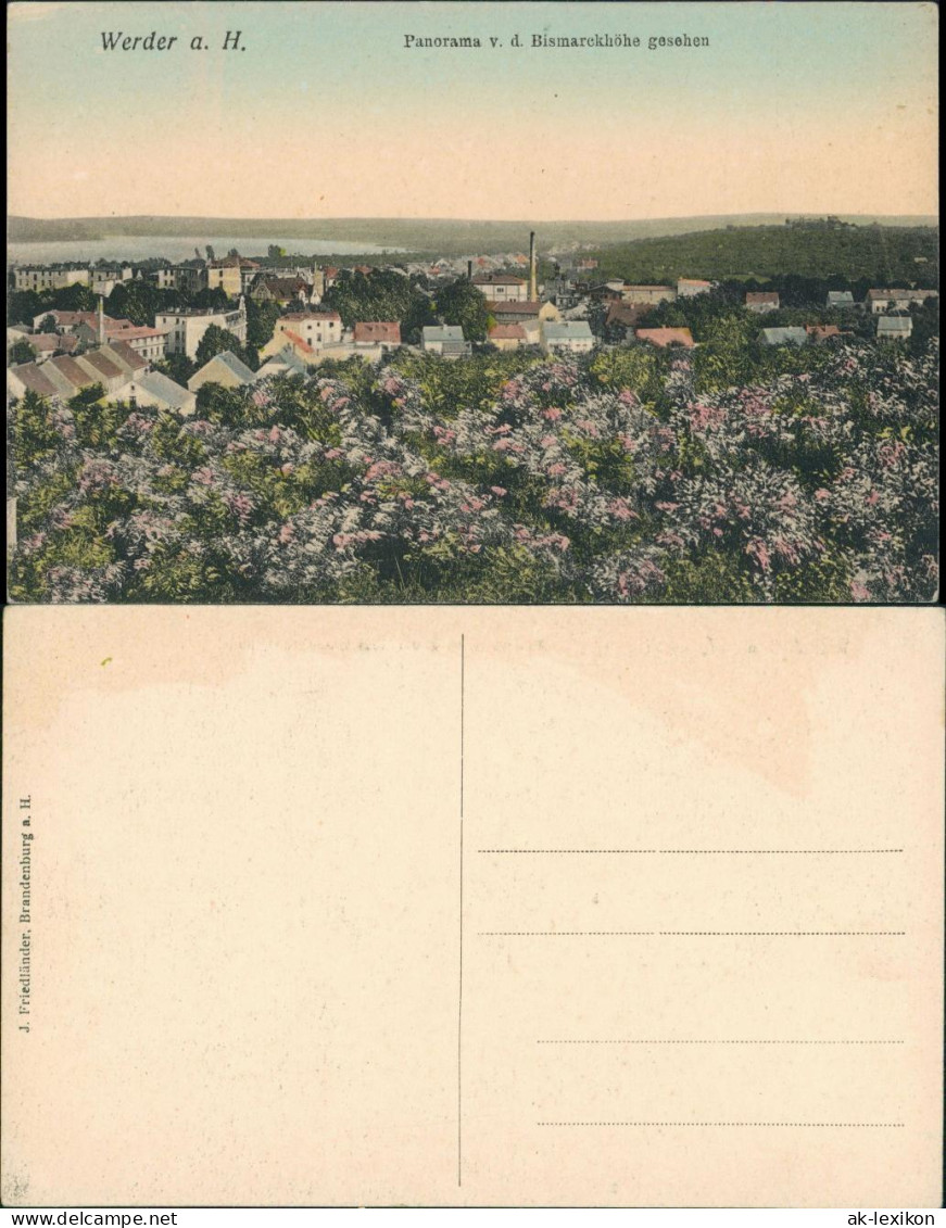 Werder (Havel) Panorama V.d. Bismarck-Höhe Gesehen, Fabrik, Blumem-Meer 1905 - Werder