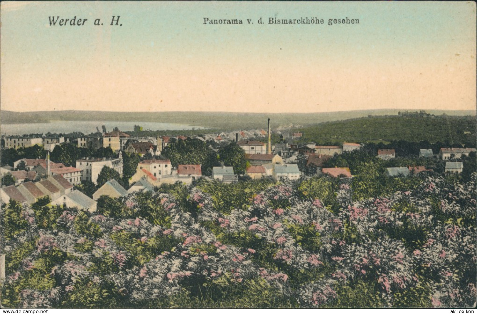 Werder (Havel) Panorama V.d. Bismarck-Höhe Gesehen, Fabrik, Blumem-Meer 1905 - Werder