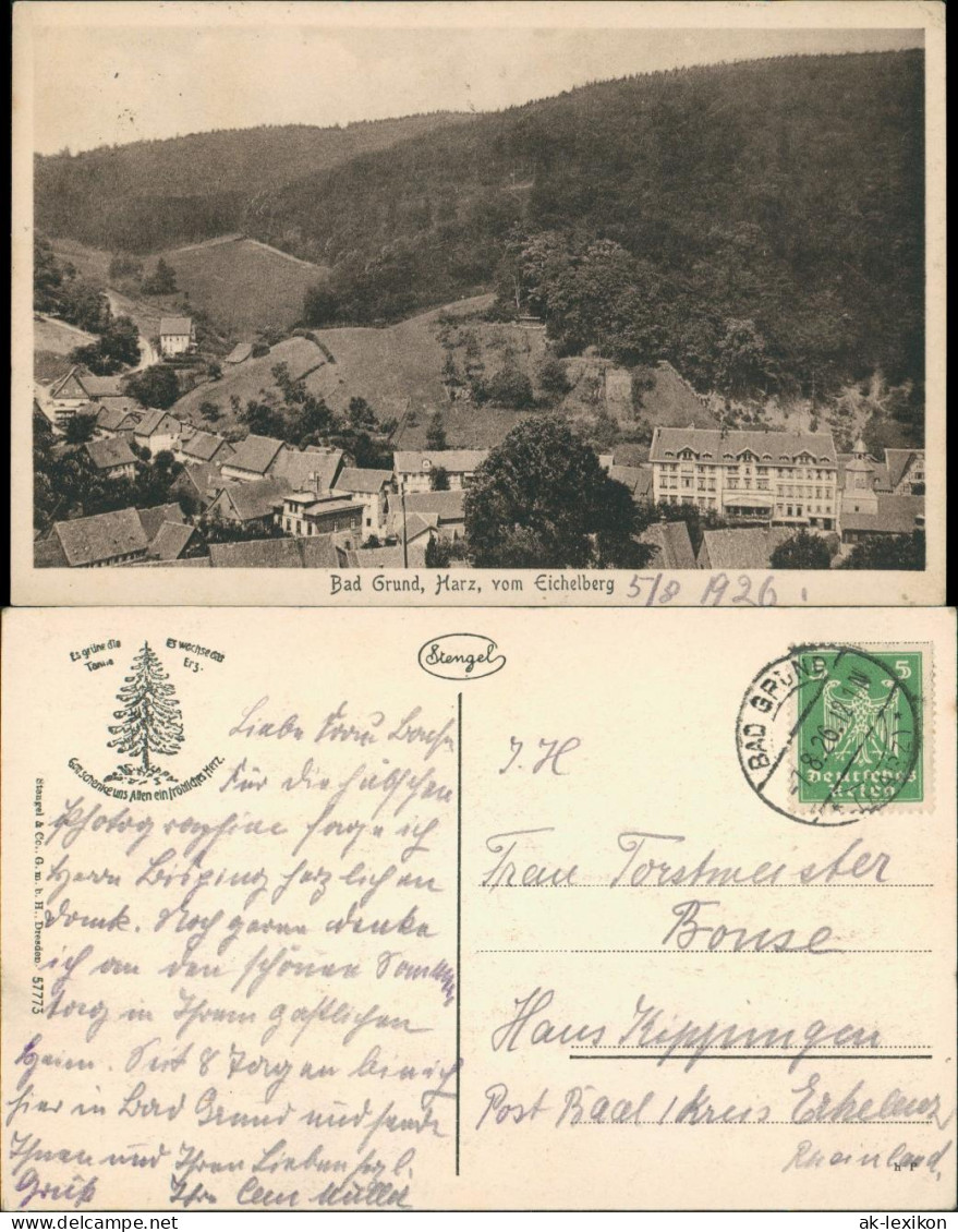 Ansichtskarte Bad Grund (Harz) Vom Eichelberg 1926 - Bad Grund