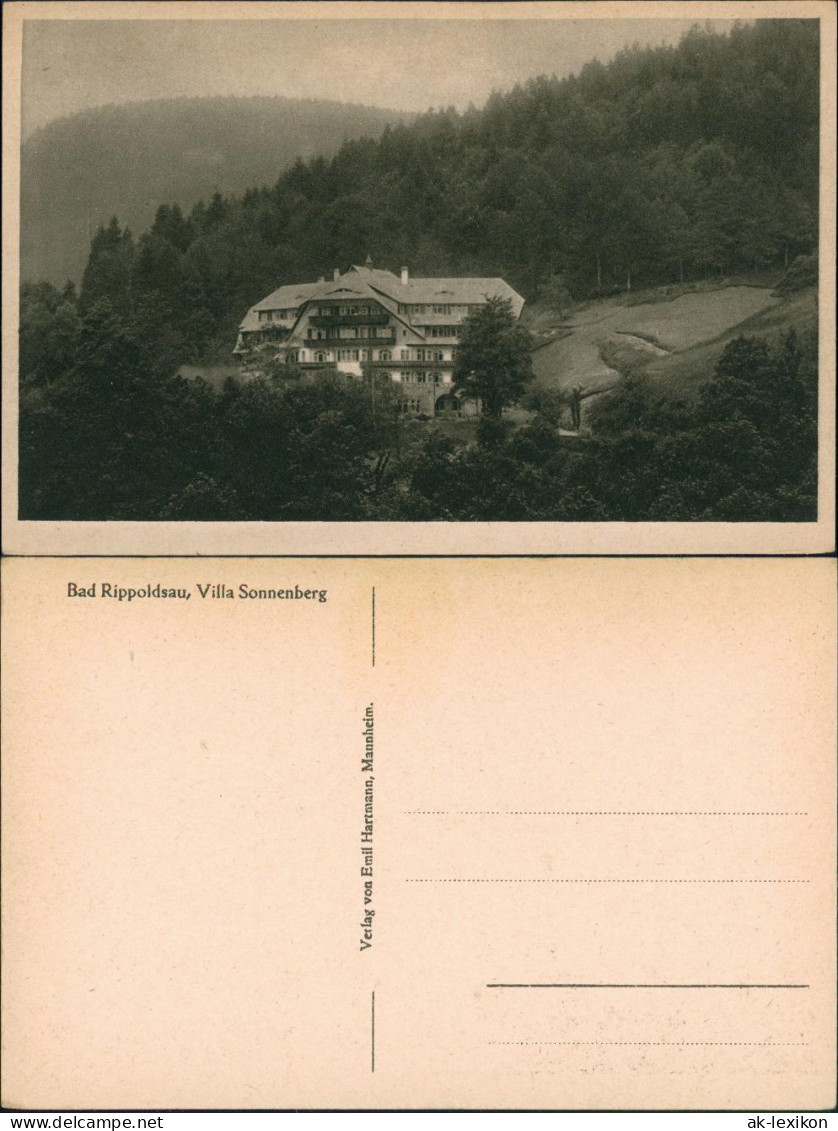 Ansichtskarte Bad Rippoldsau-Bad Rippoldsau-Schapbach Villa Sonnenberg 1924 - Bad Rippoldsau - Schapbach