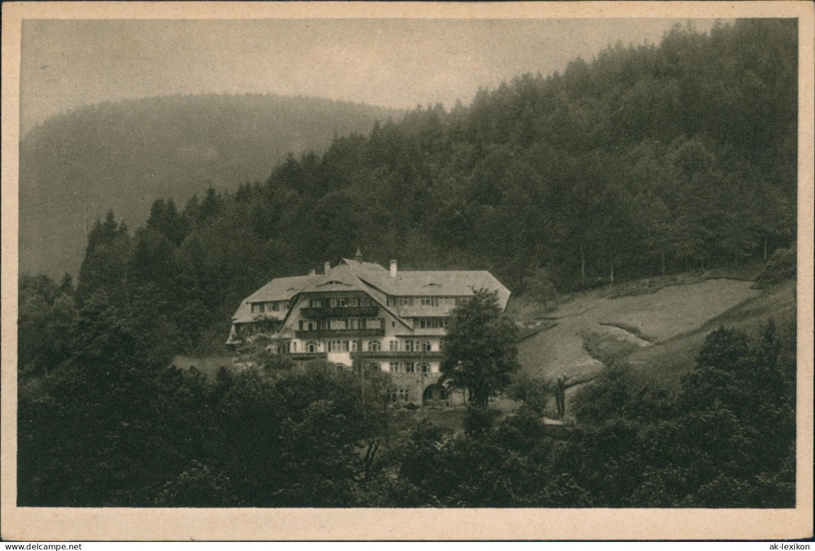 Ansichtskarte Bad Rippoldsau-Bad Rippoldsau-Schapbach Villa Sonnenberg 1924 - Bad Rippoldsau - Schapbach