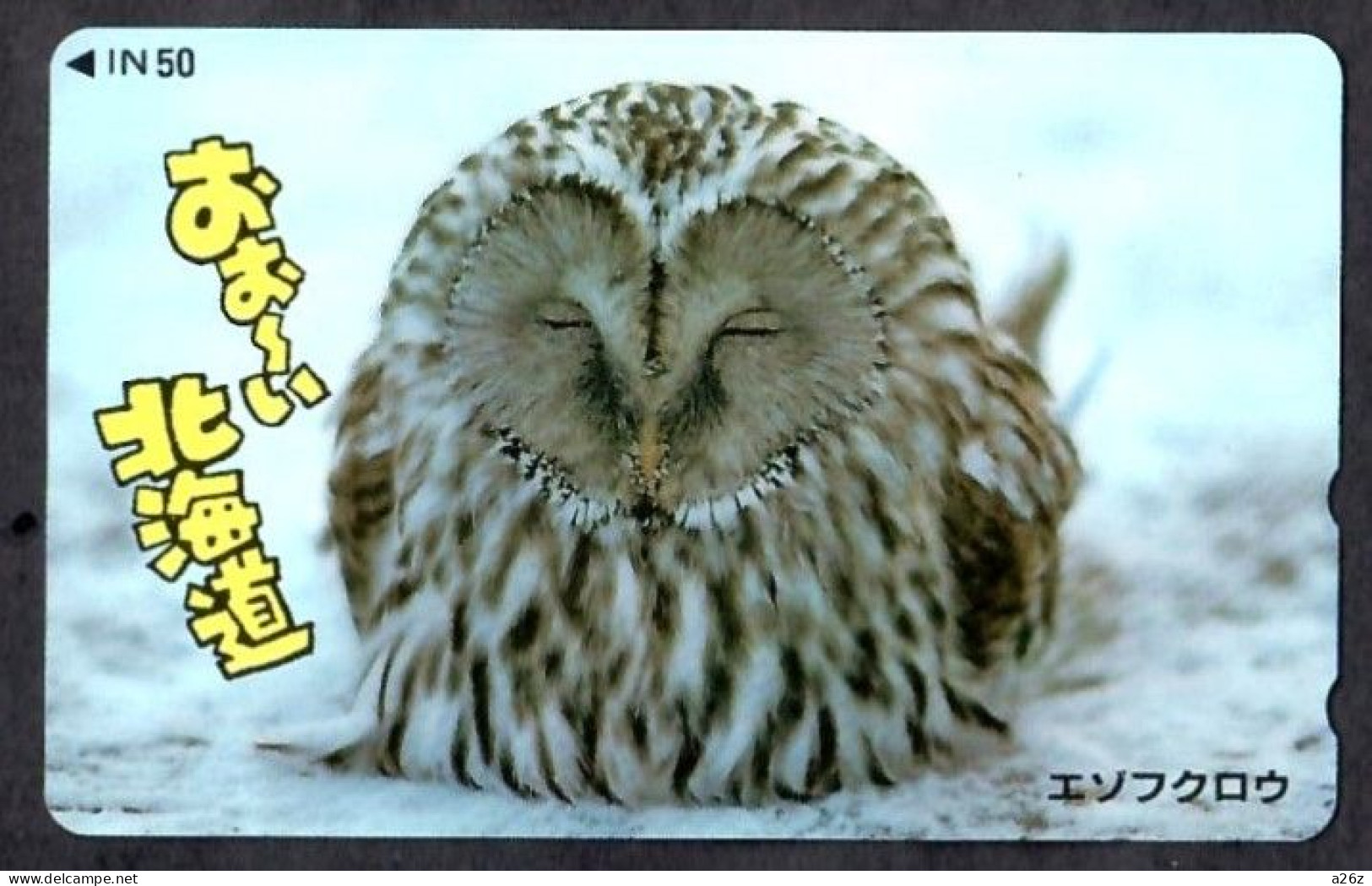 Japan 1V Owl Hokkaido New Mint Card - Búhos, Lechuza