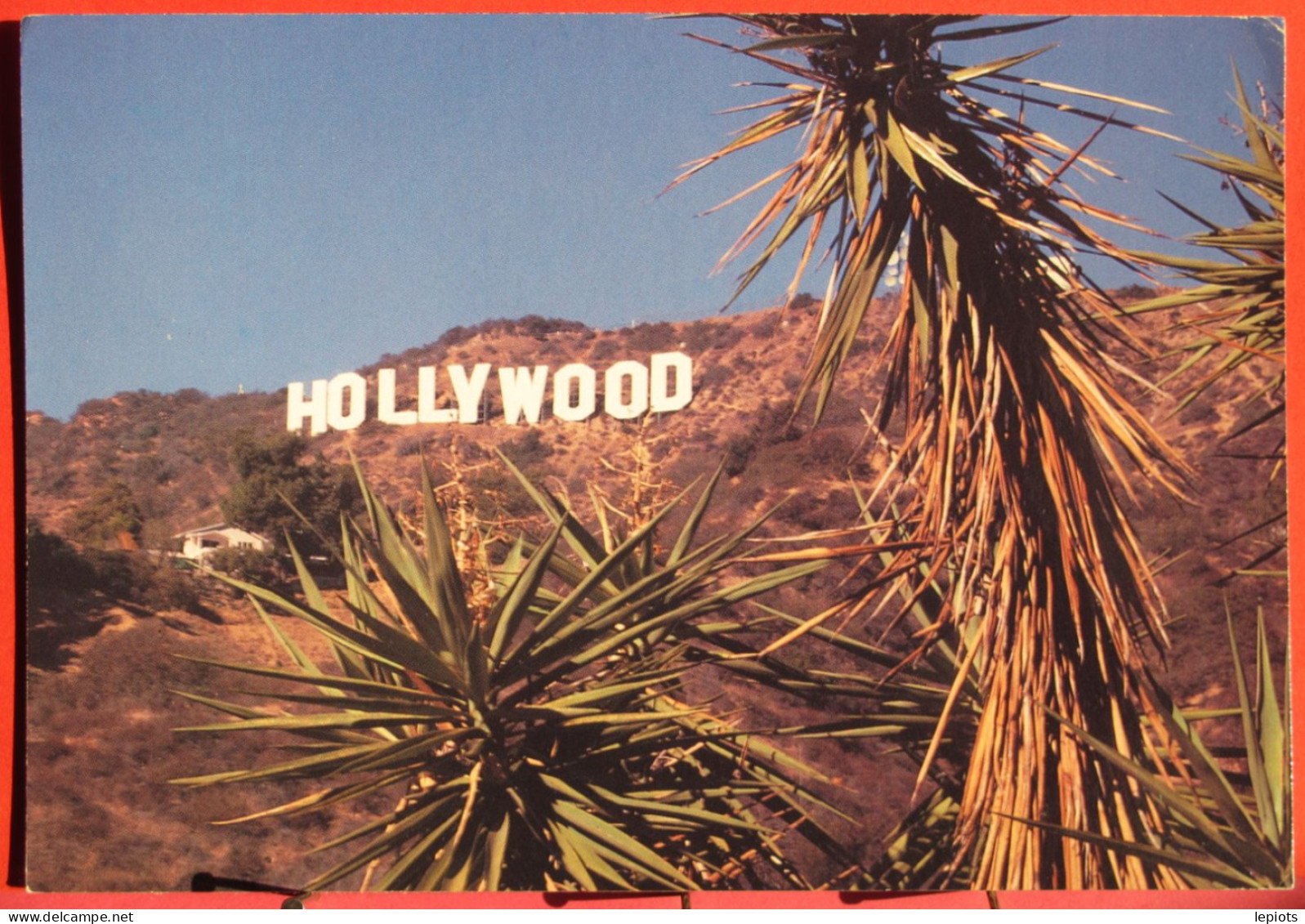 USA - View Of Hollywoog Sign - California - Los Angeles