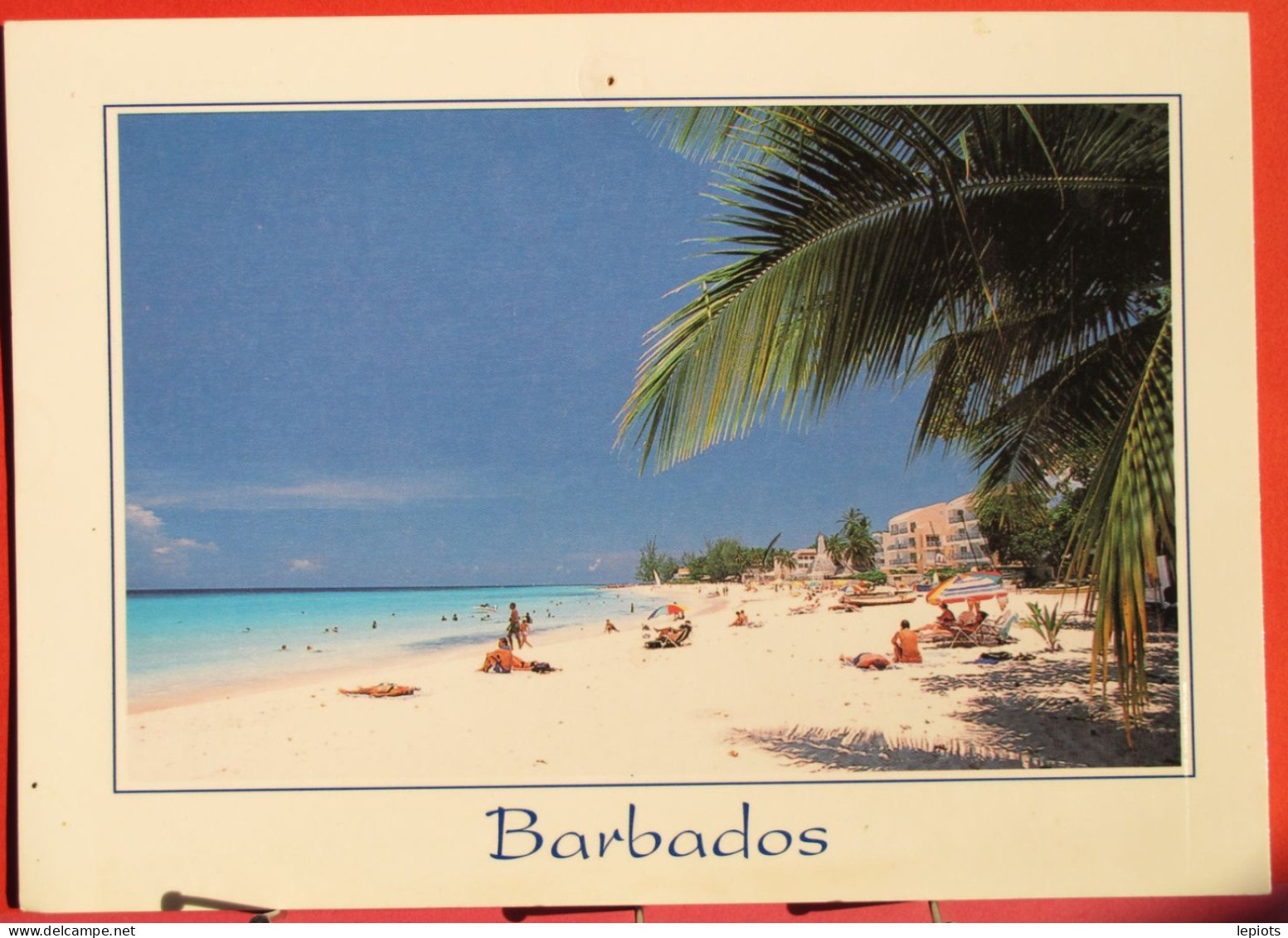 Antilles - Barbades - Beautiful Dover Beach - St. Lawrence Gap - Barbados