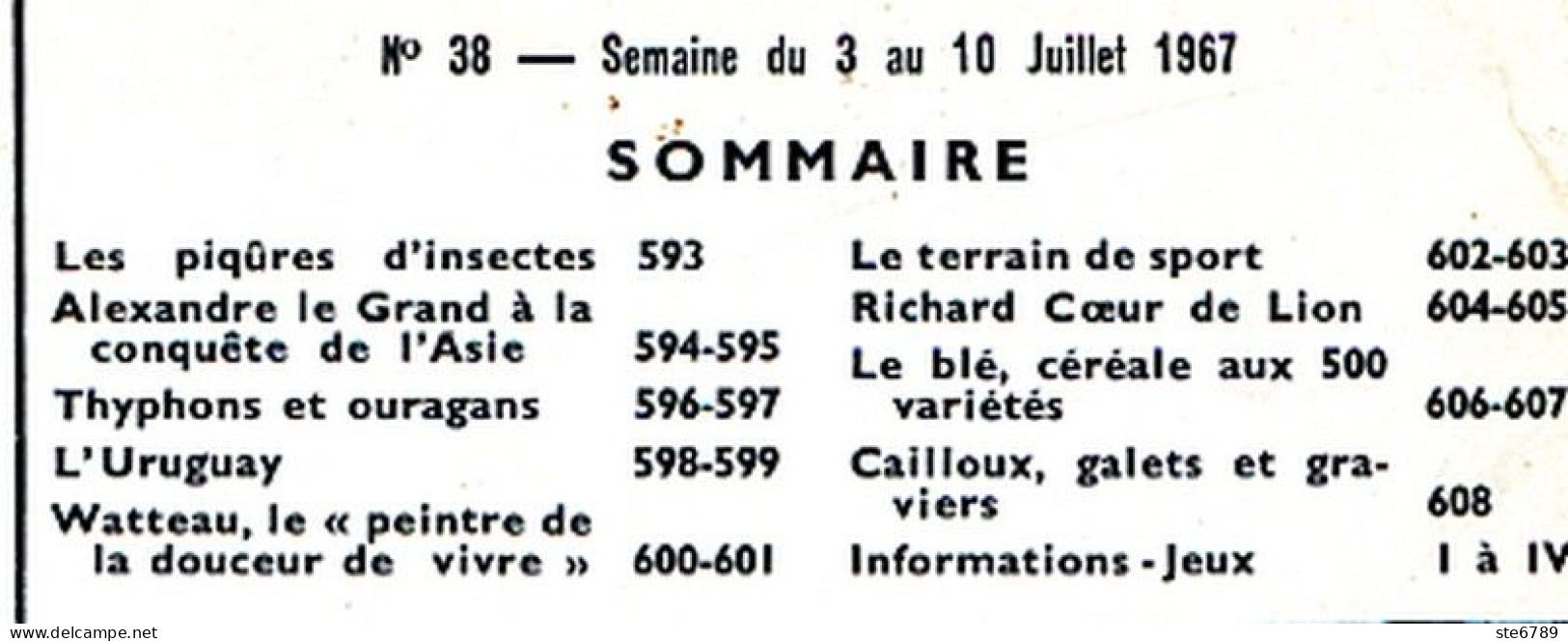 Tout L'univers 1967 N° 38 Piqures Insectes , Alexandre Le Grand , Typhons Et Ouragans , Uruguay , Watteau , Le Blé - Informaciones Generales